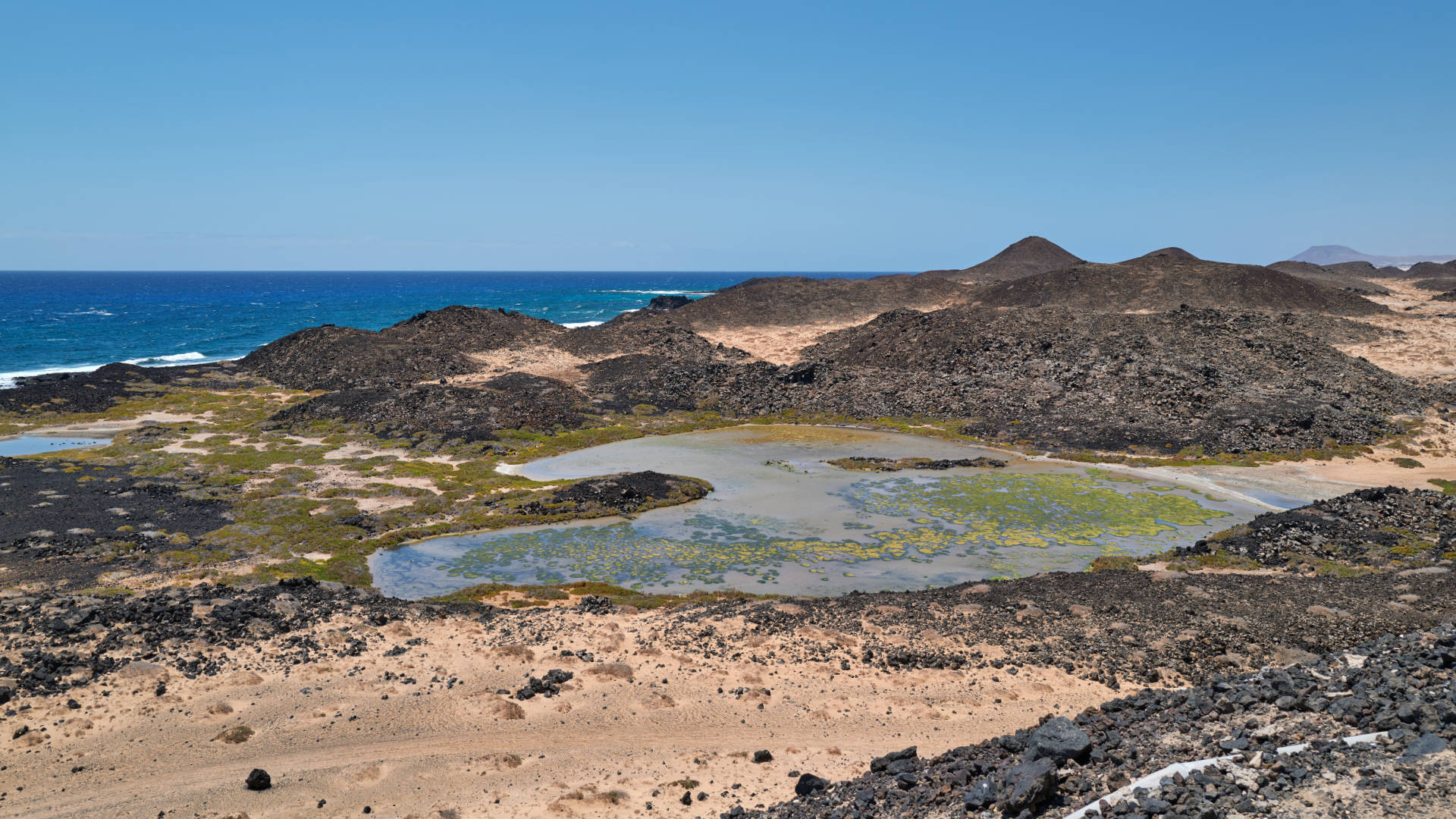 Bajo de la Perra Isla de Lobos Fuerteventura.