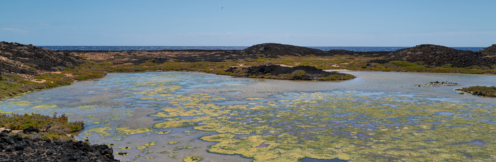 Bajo de la Perra Isla de Lobos Fuerteventura.