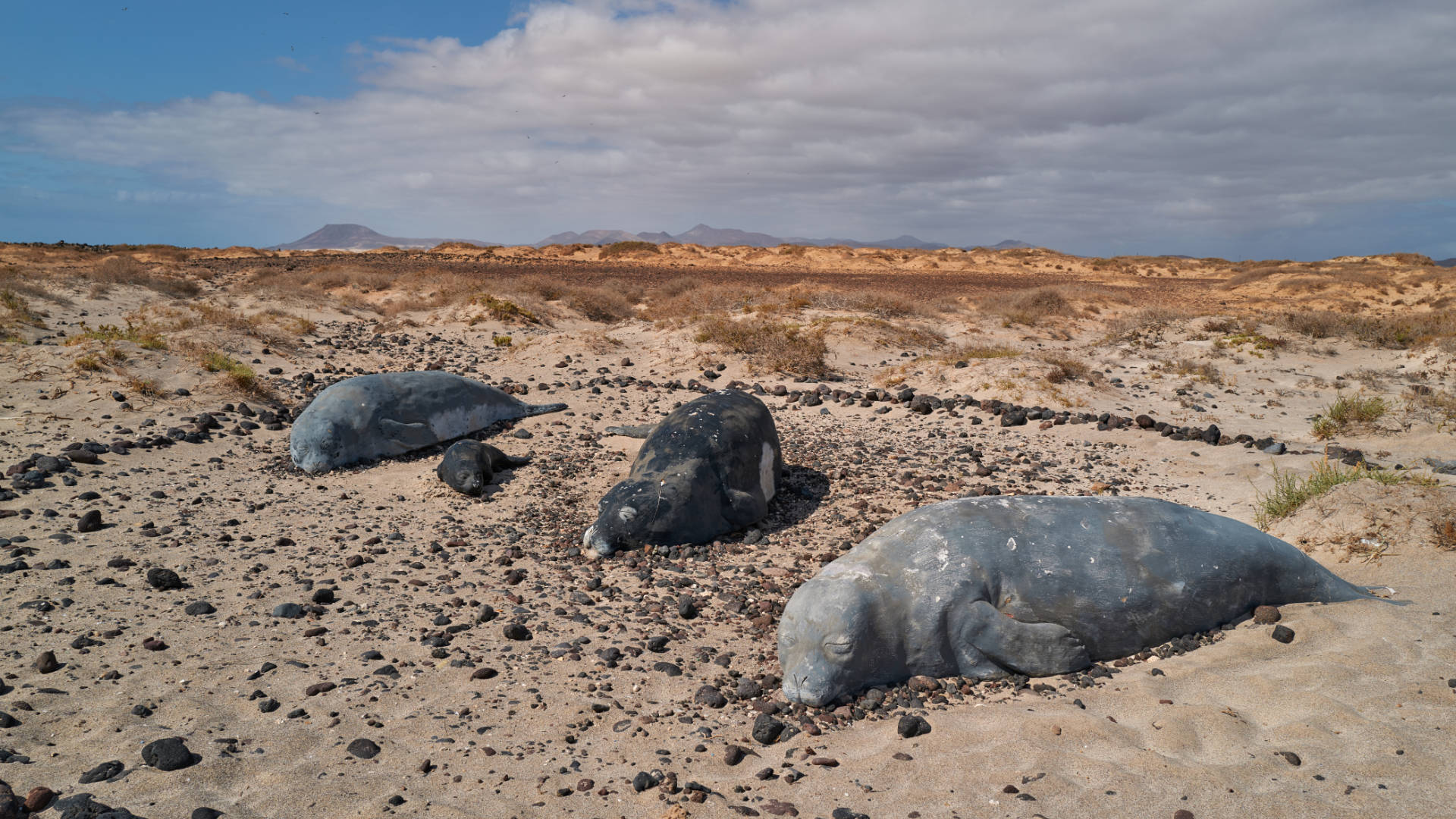 Paso de la Orchilla – Playa de la Calera – Isla de Lobos Fuerteventura.