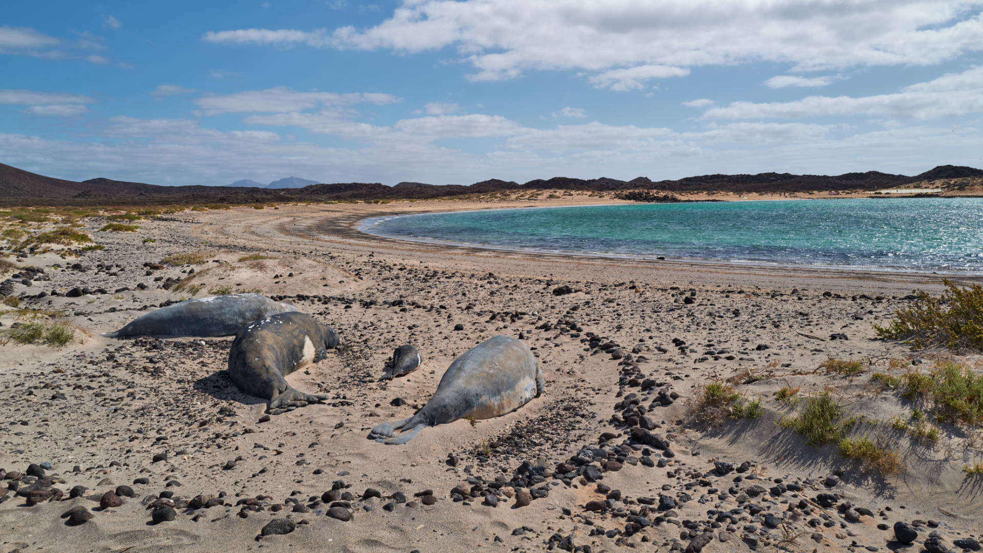 Paso de la Orchilla – Playa de la Calera – Isla de Lobos Fuerteventura.