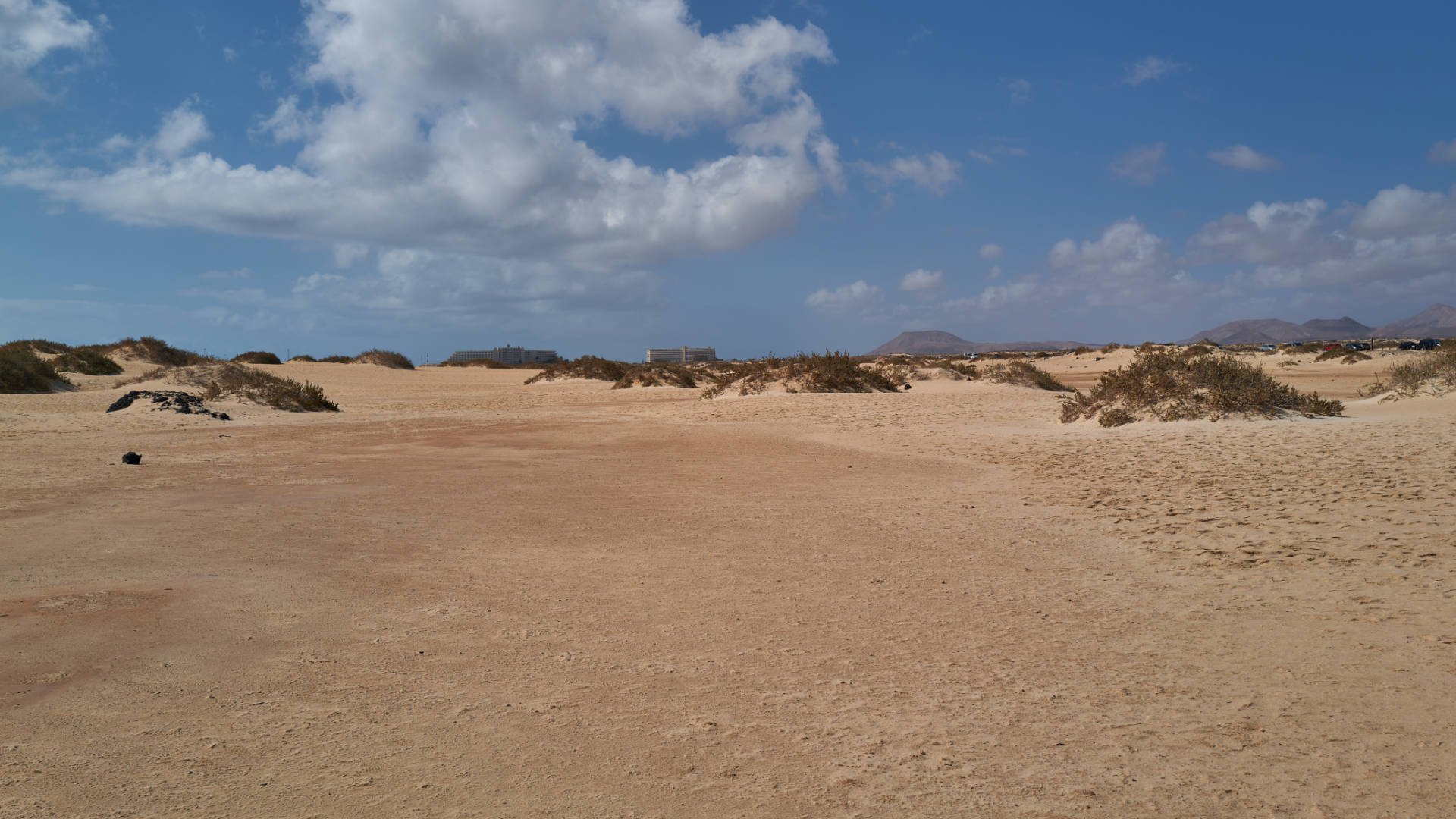 Playa del Pozo El Jable Dunas de Corralejo Fuerteventura.