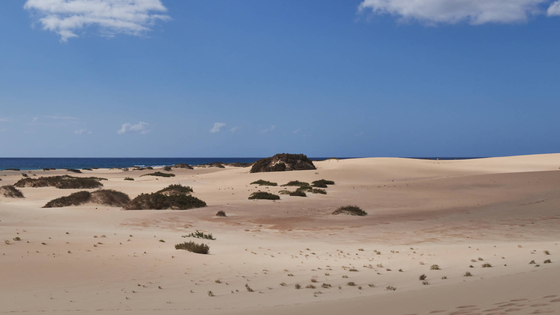 Playa de los Matos El Jable Dunas de Corraljo Fuerteventura