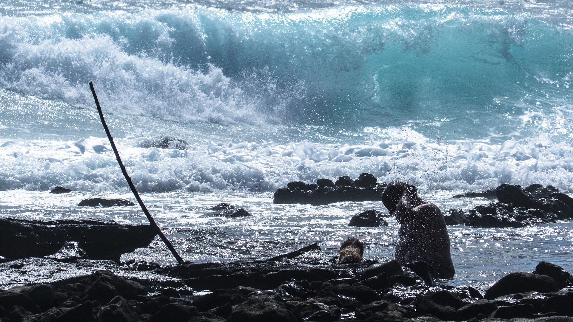 Die Strände Fuerteventuras: Playa del Matorral