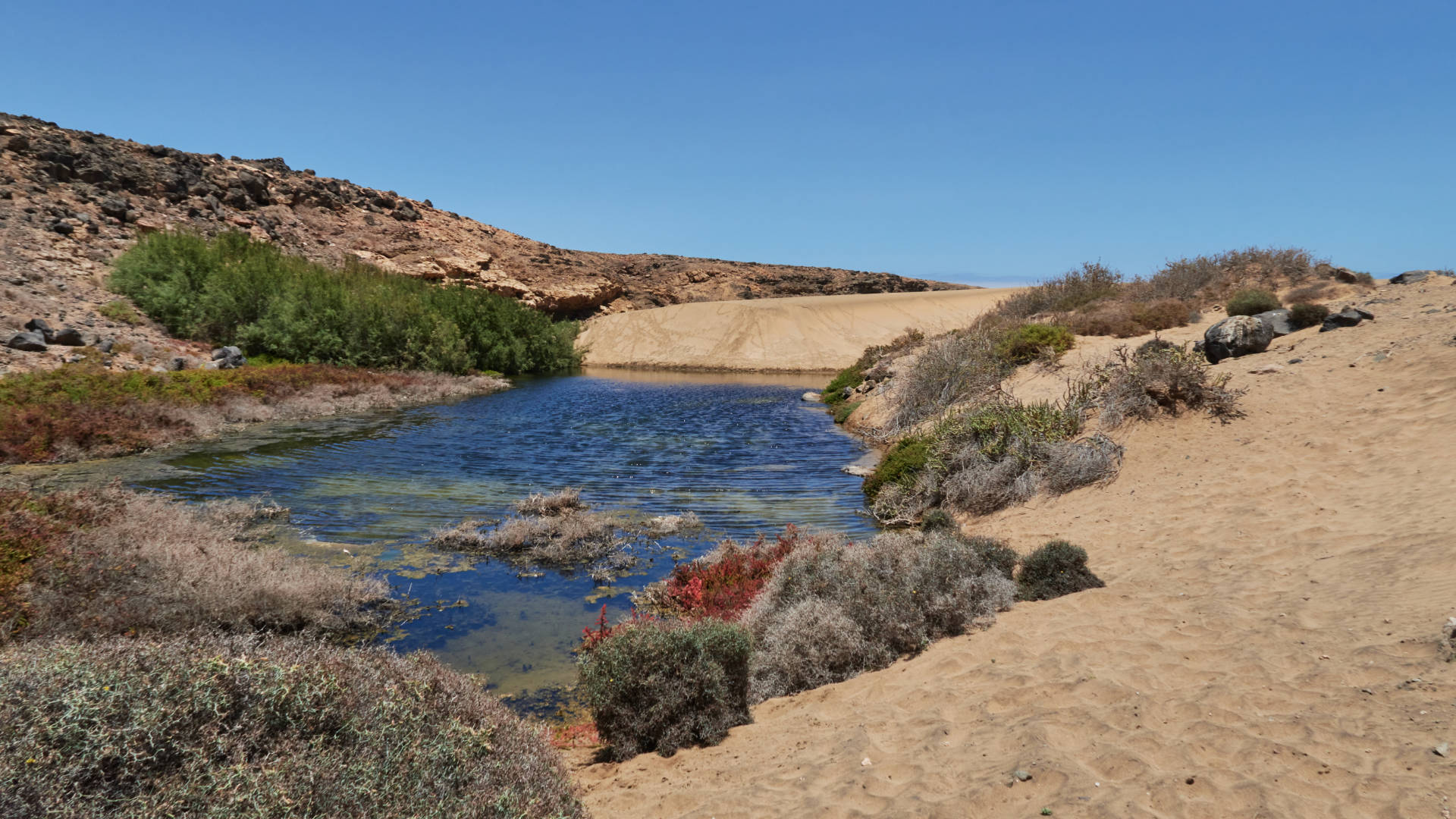 Der Strand Playa Jarugo nahe Tindaya Fuerteventura.