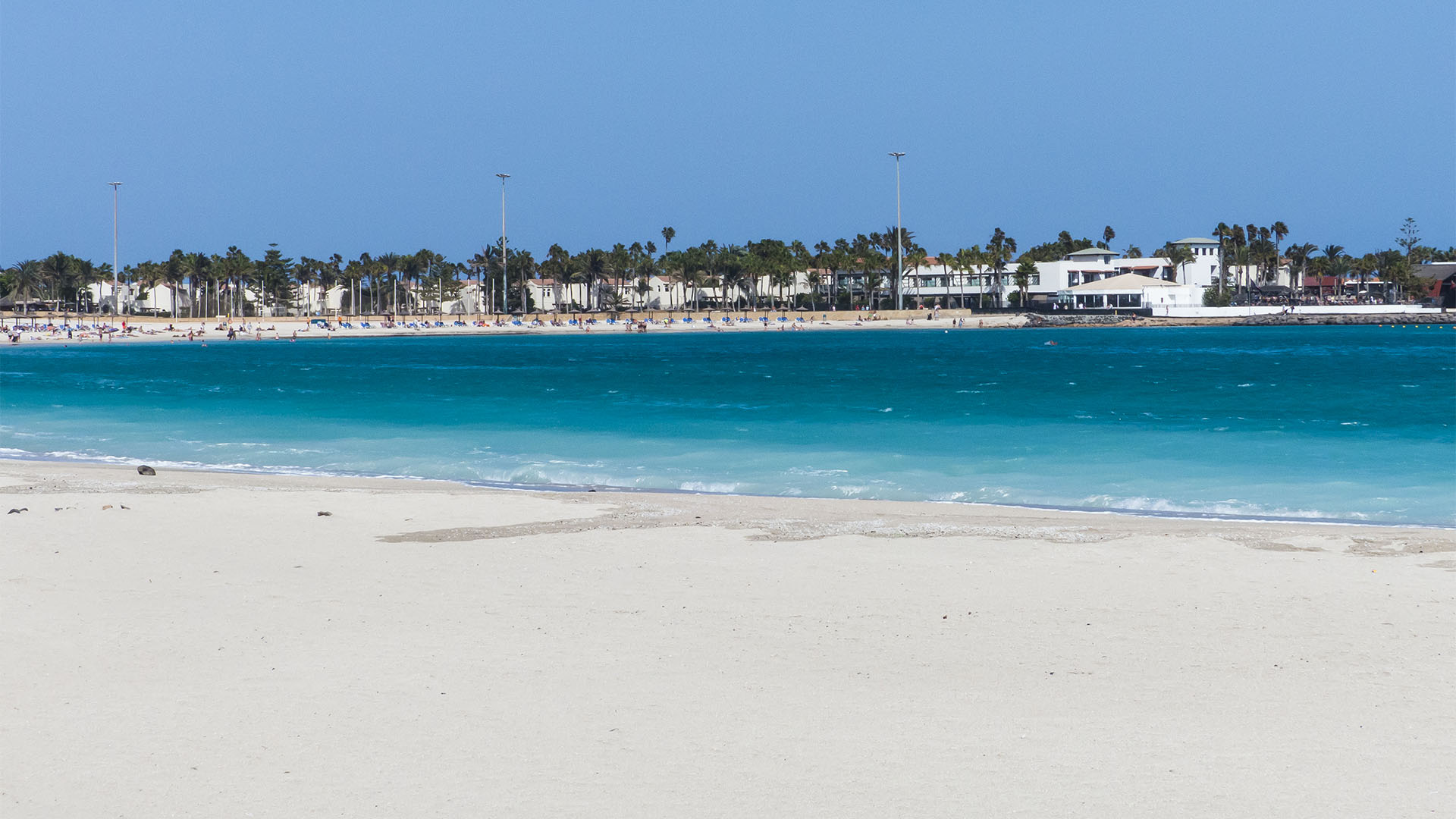 Die Strände Fuerteventuras: Playa del Castillo