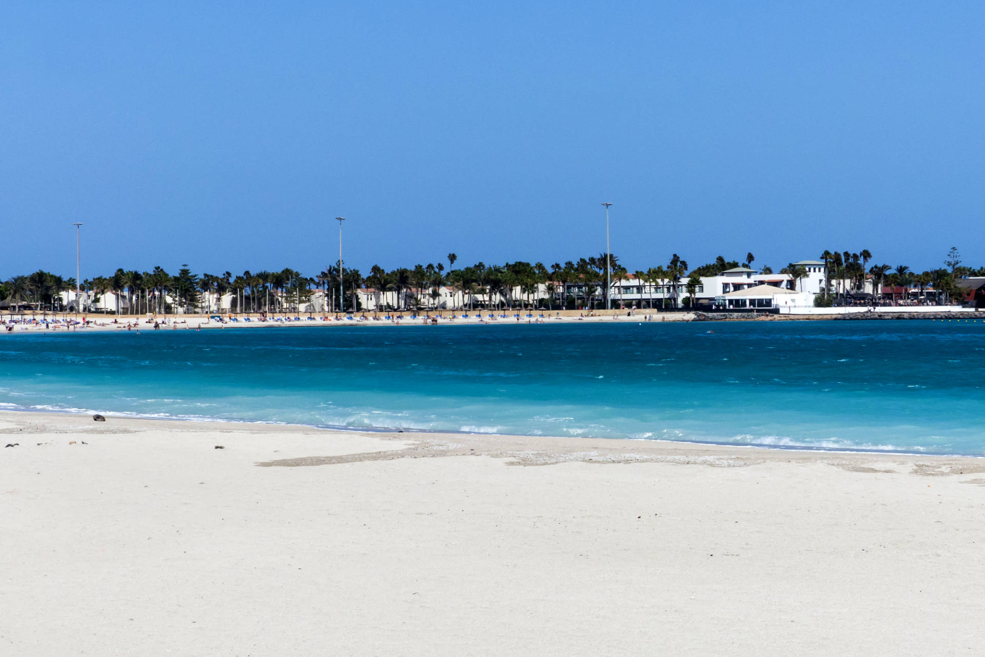 Playa del Castillo Caleta de Fuste Fuerteventura.