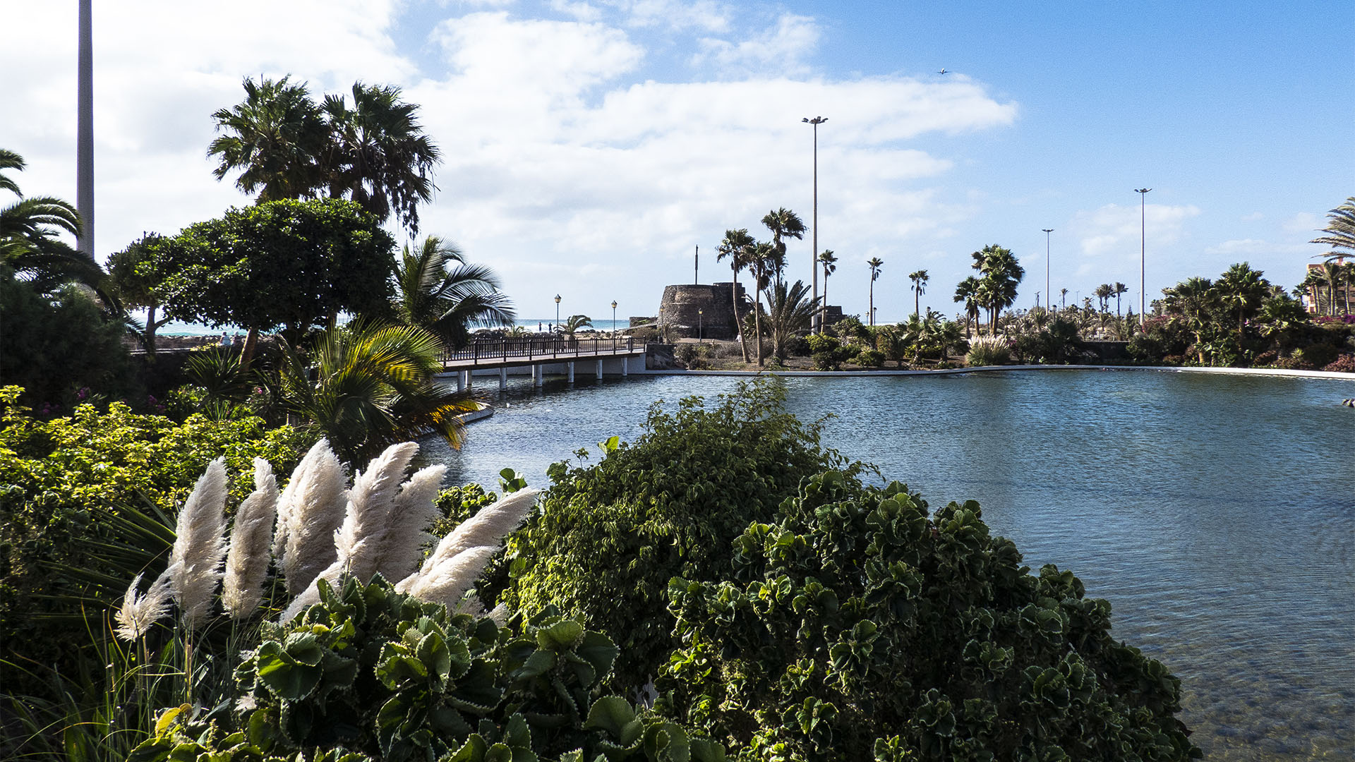 Die Strände Fuerteventuras: Las Marismas – Playa de la Guirra