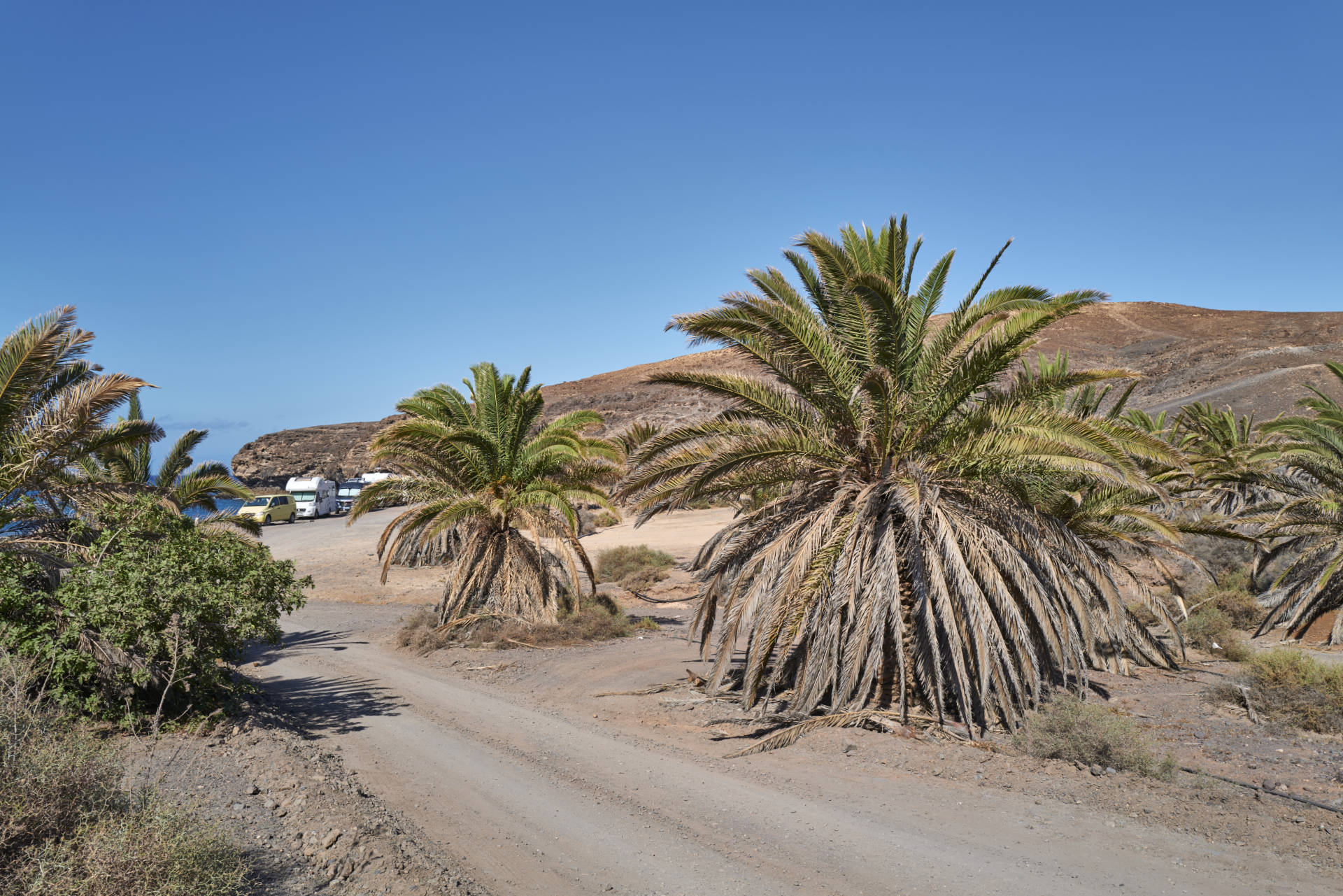 Puerto Rico La Lajita Fuerteventura.