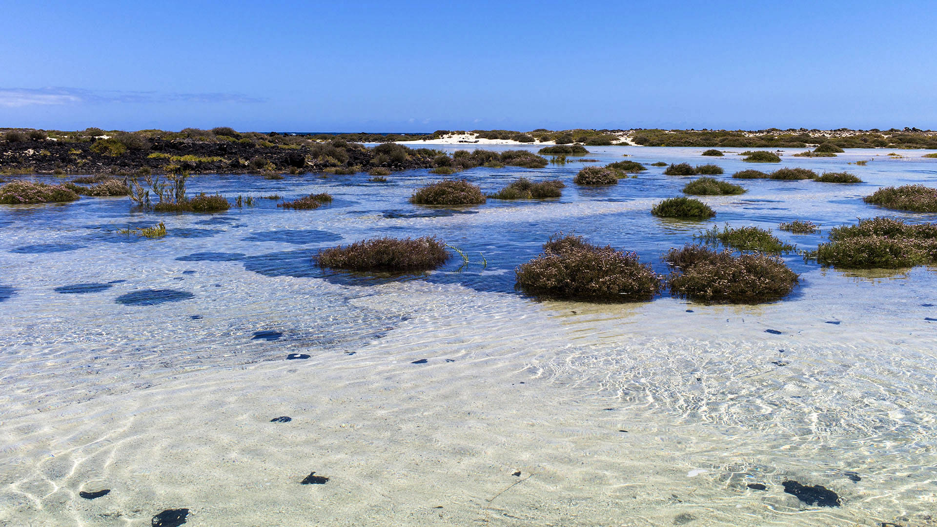 Wandern auf der Isla de Lobos Fuerteventura.