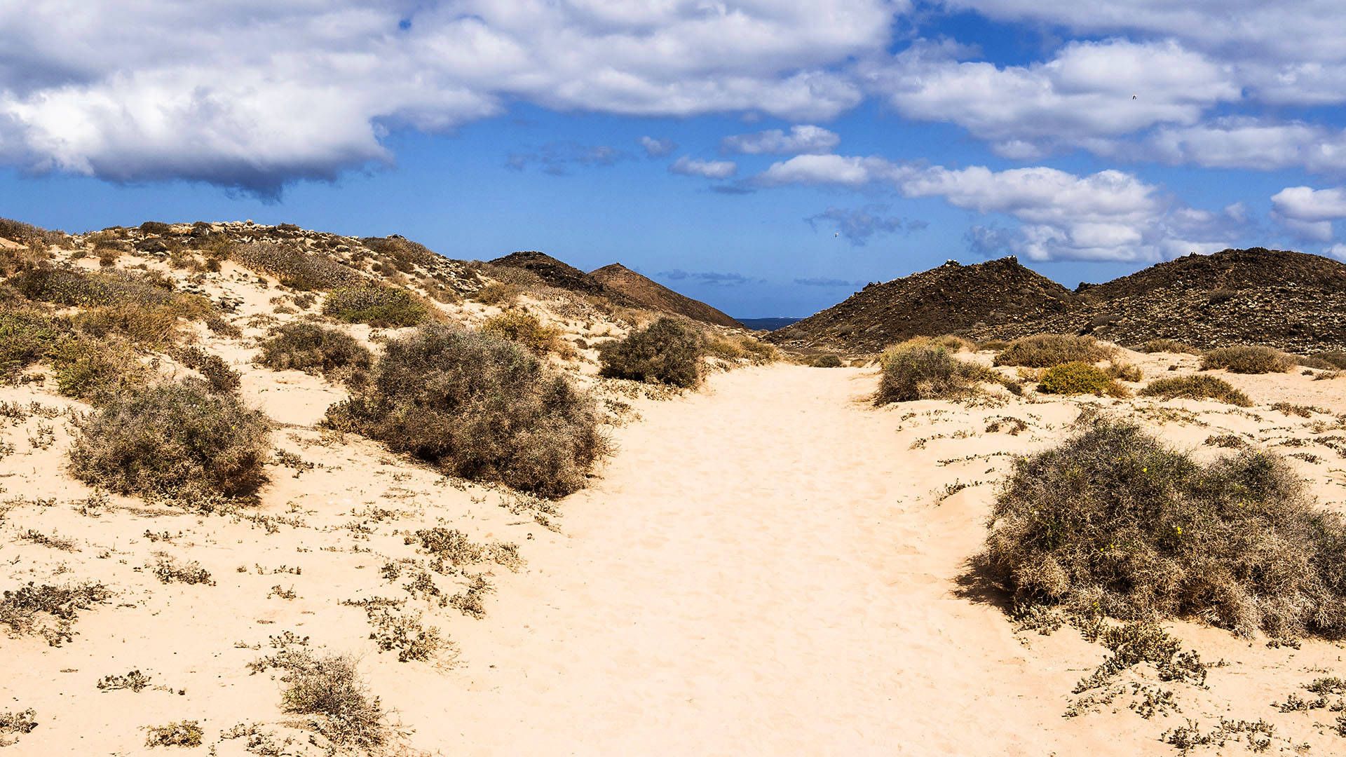 Wandern auf der Isla de Lobos Fuerteventura.