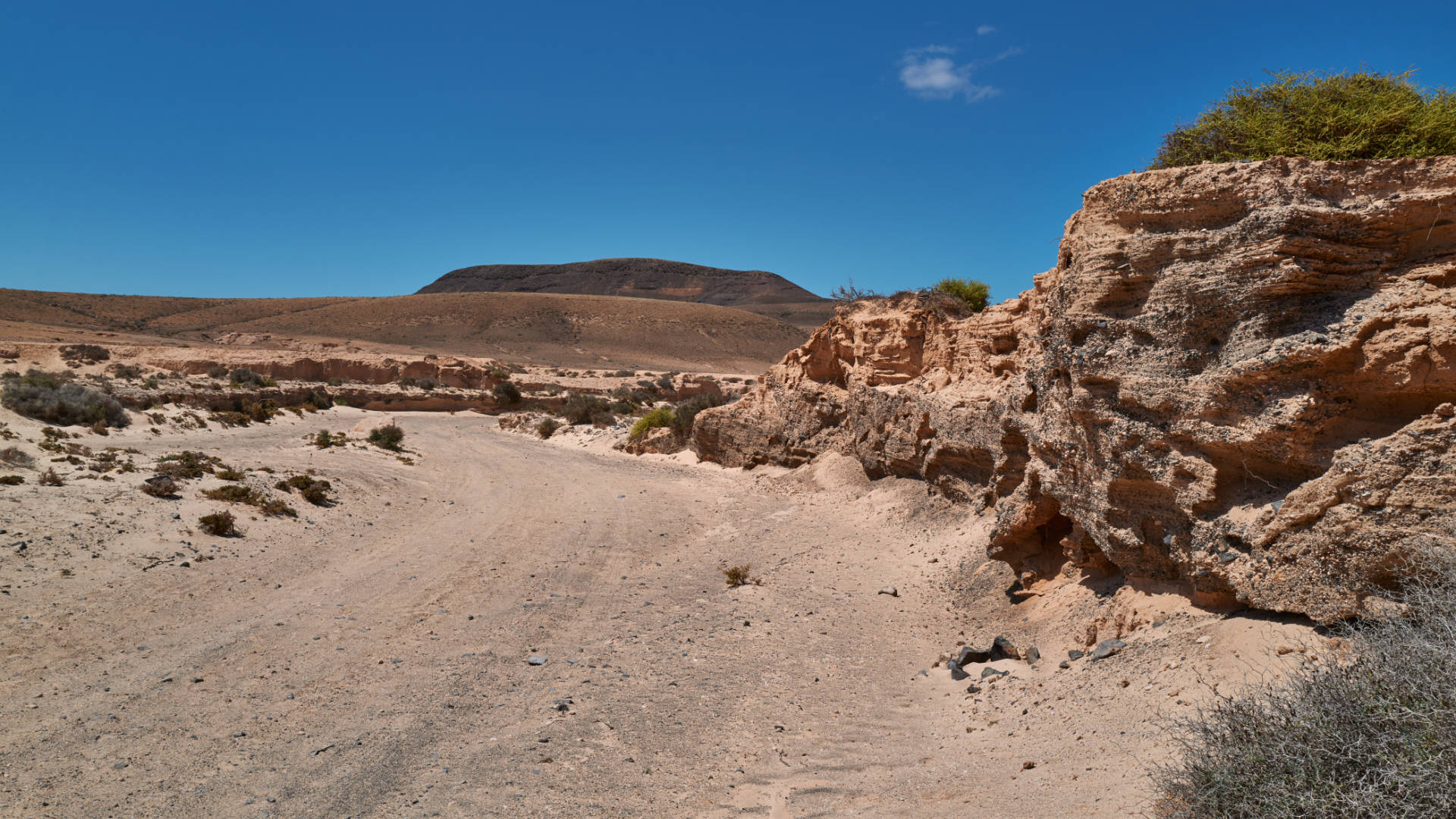 Der Cañada de Melián nahe Lajares Fuerteventura.