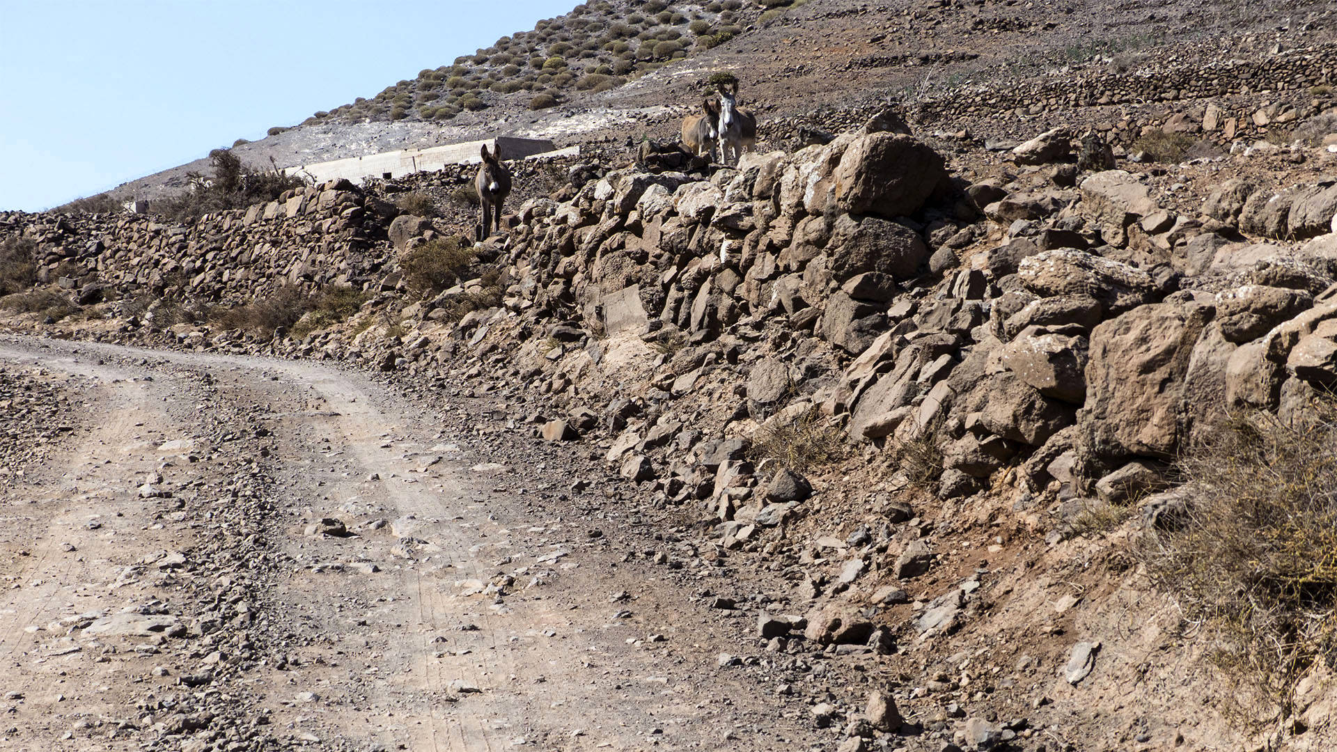 Die Piste von Valebrón durch den Barranco de Vallebrón zur Fuente de Tababaire Fuerteventura.