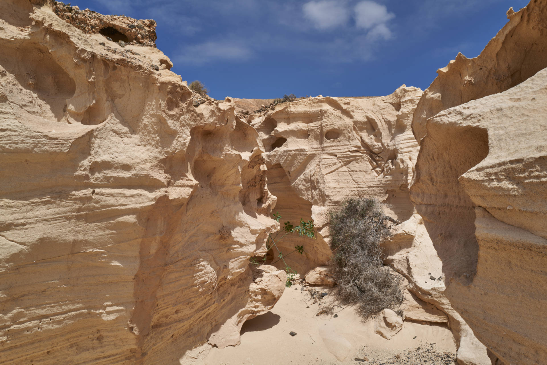 Barranco de los Encantados Fuerteventura 2021.