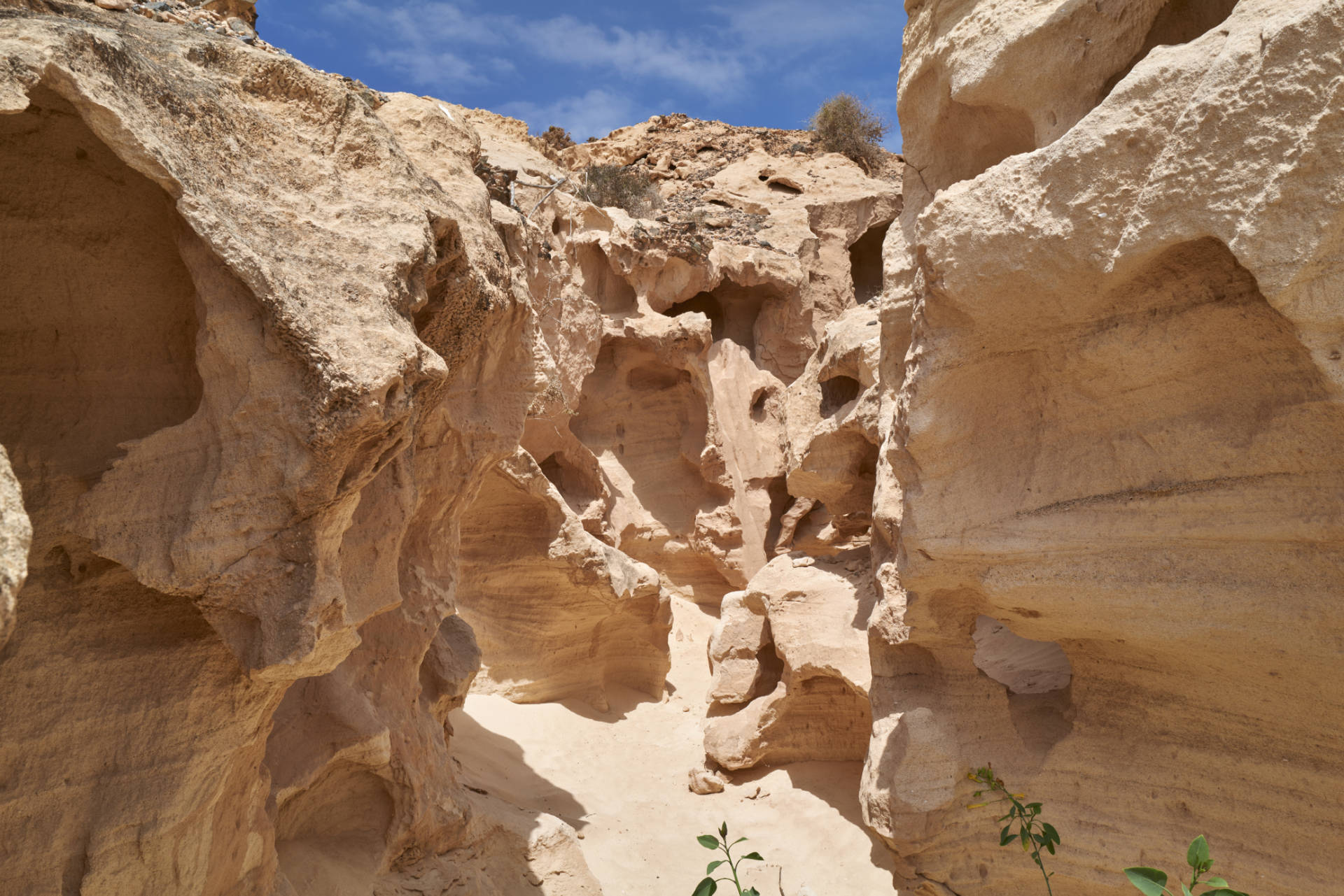 Barranco de los Encantados Fuerteventura 2021.