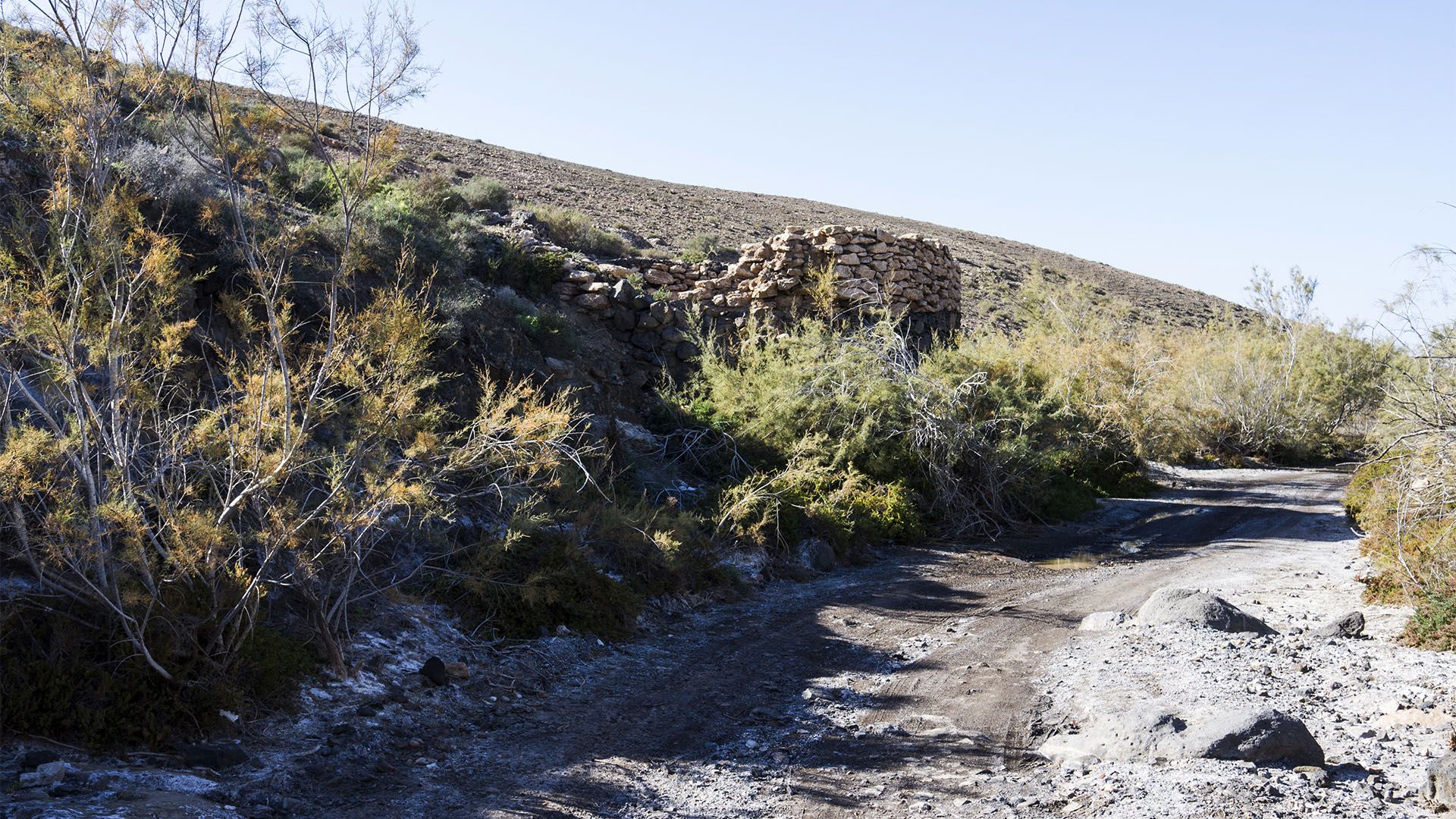 Sehenswürdigkeiten Fuerteventuras: Tindaya – Barranco Esquinzo