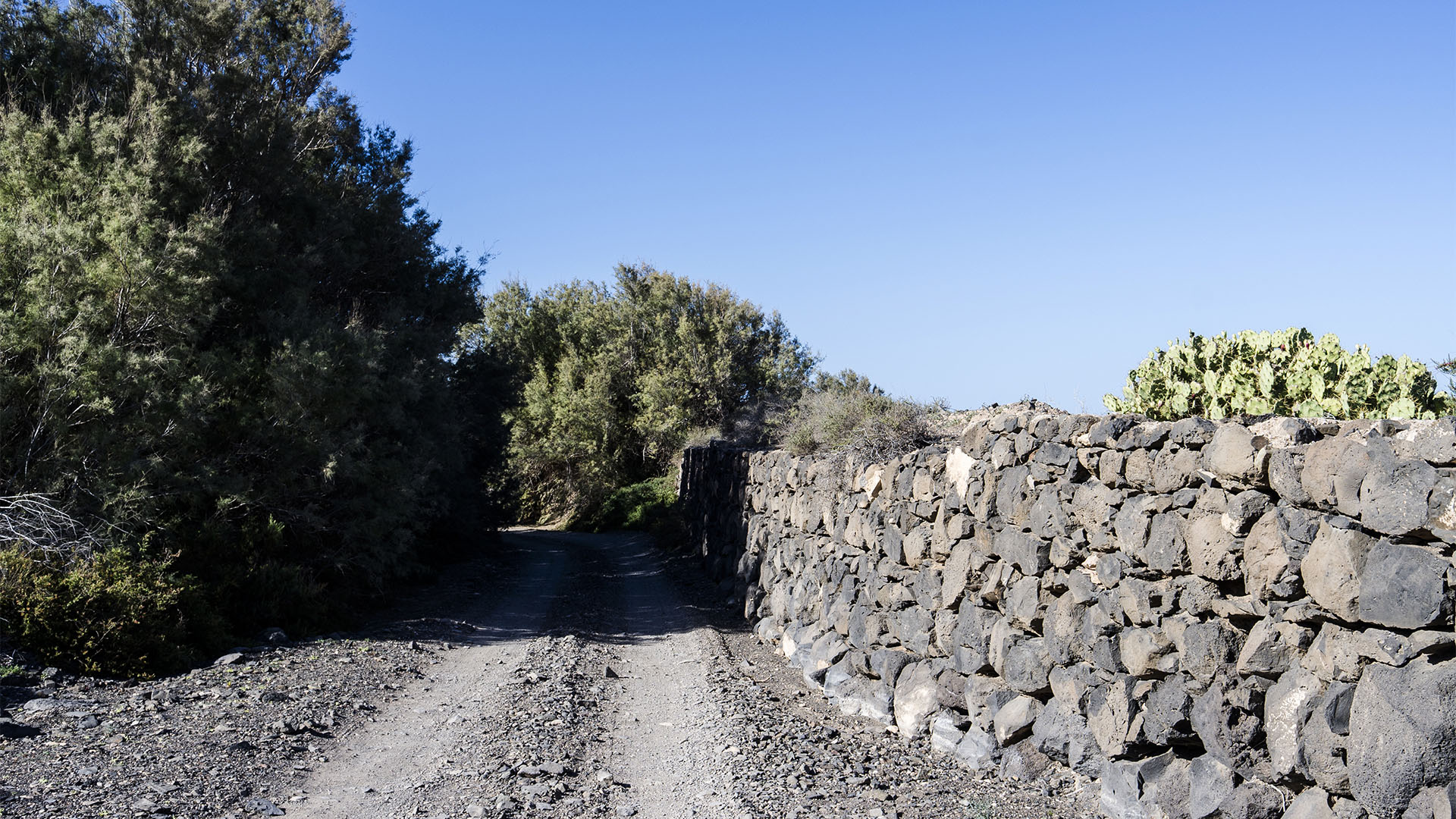 Sehenswürdigkeiten Fuerteventuras: Tindaya – Barranco Esquinzo