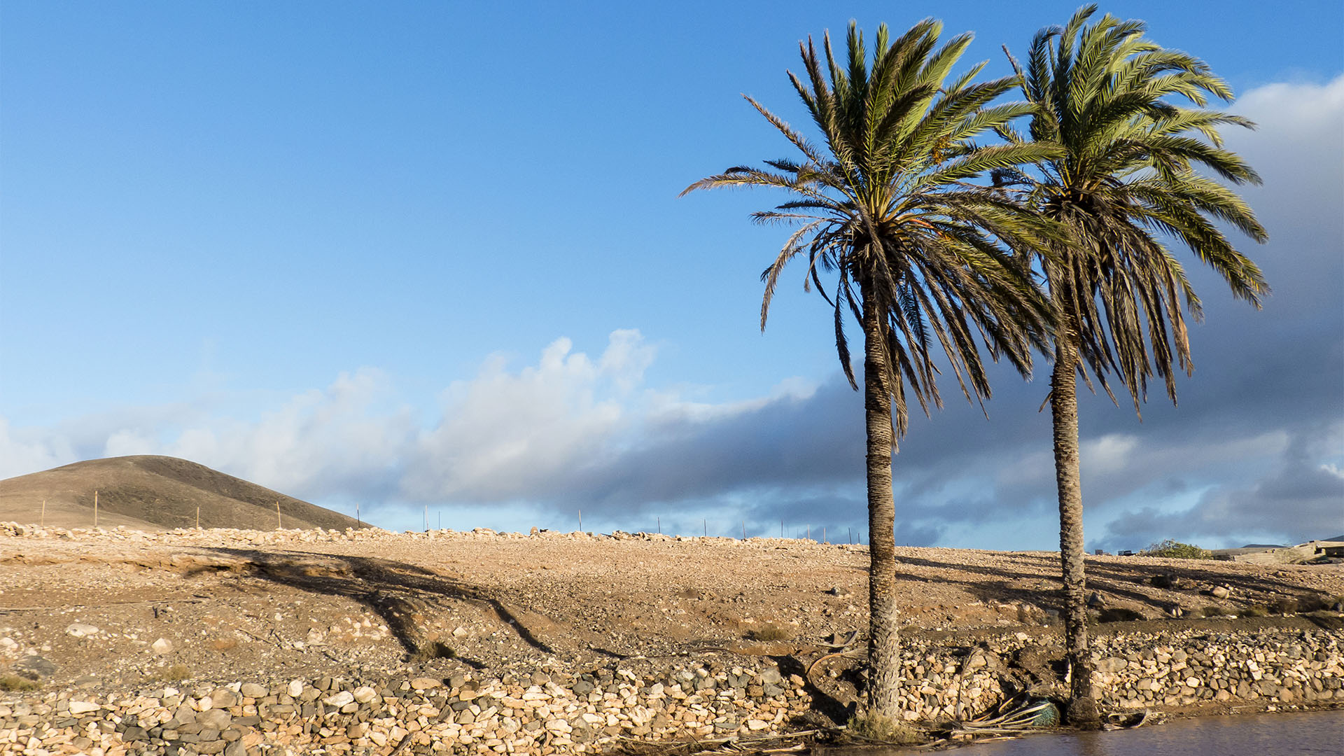 Sehenswürdigkeiten Fuerteventuras: Tindaya – Barranco Esquinzo