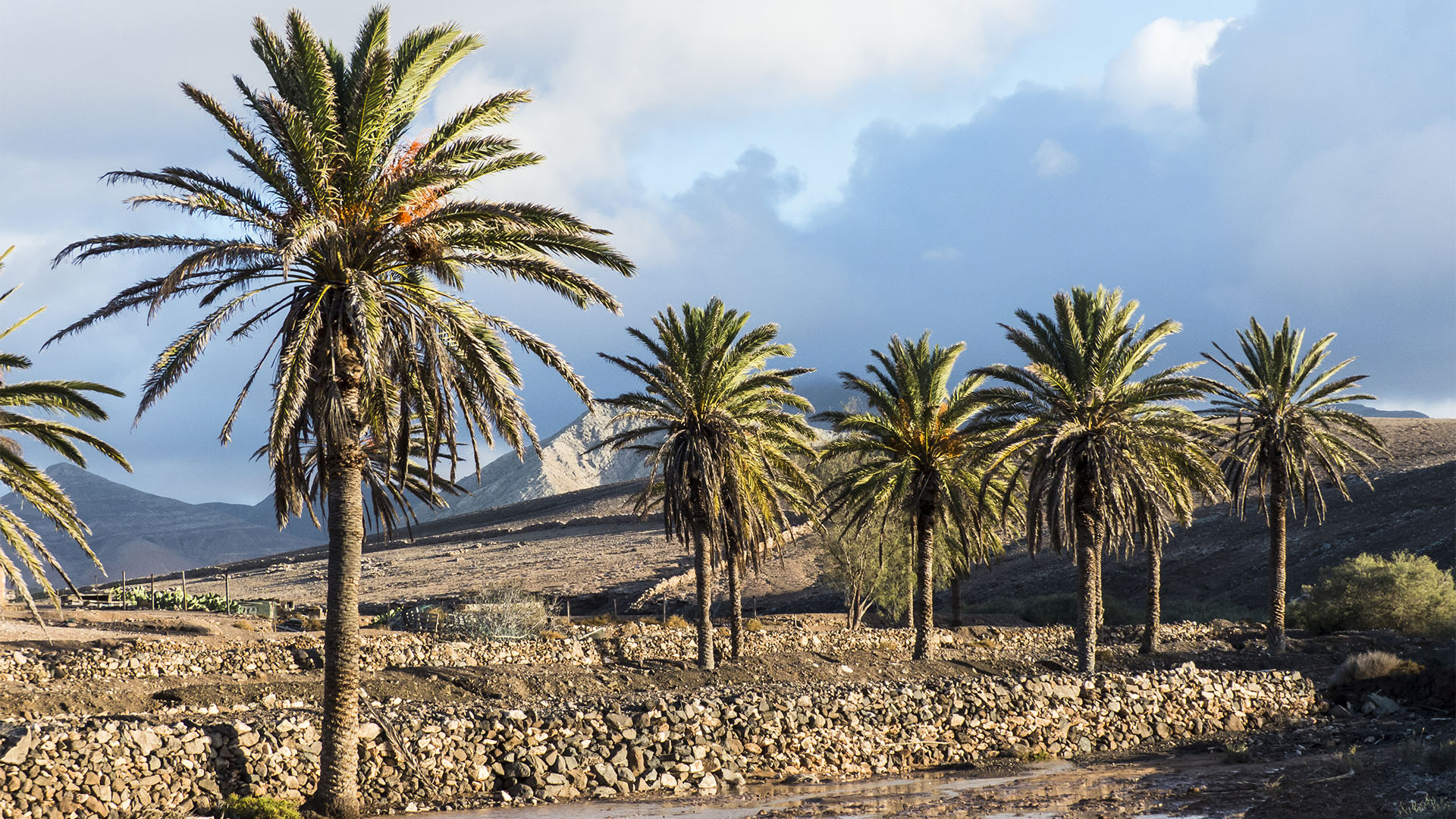 Sehenswürdigkeiten Fuerteventuras: Tindaya – Barranco Esquinzo