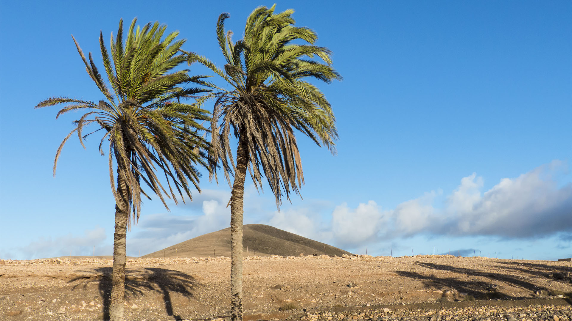 Sehenswürdigkeiten Fuerteventuras: Tindaya – Barranco Esquinzo