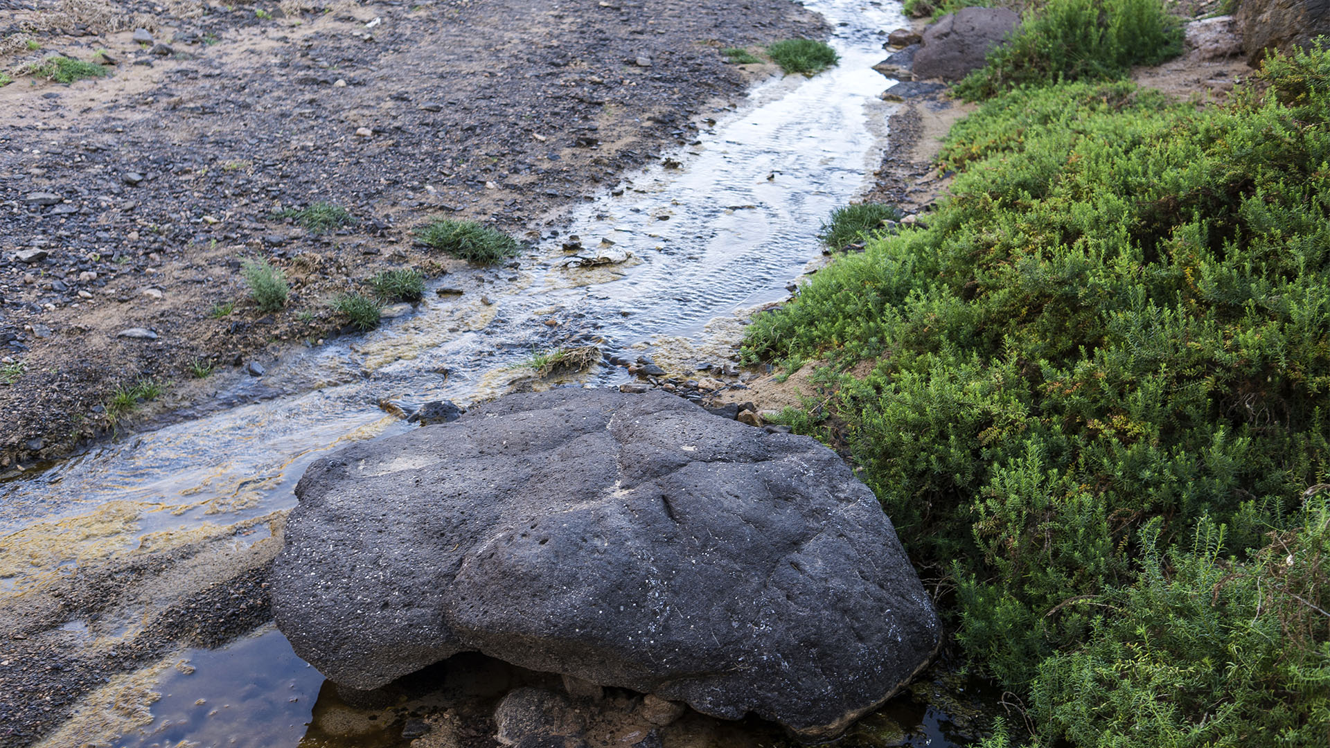 Sehenswürdigkeiten Fuerteventuras: Tindaya – Barranco Esquinzo