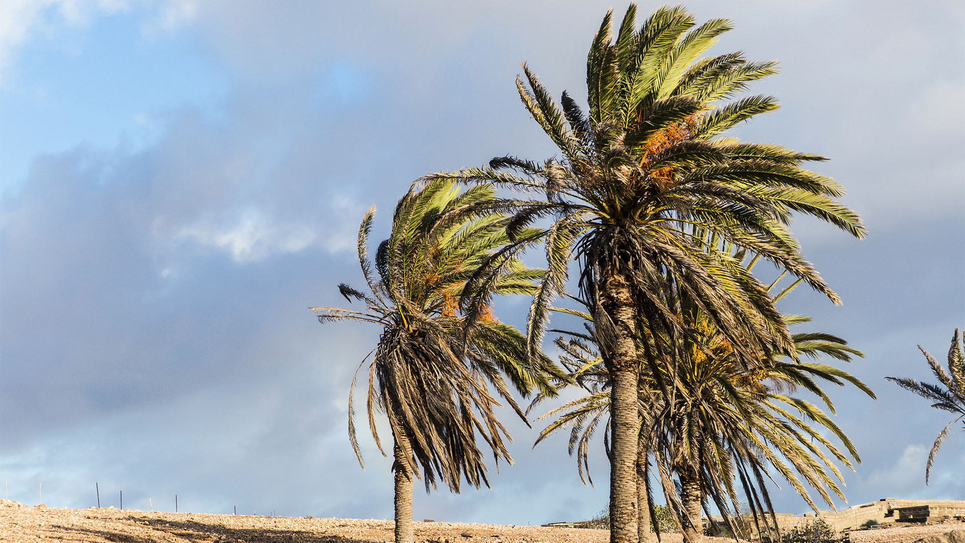 Sehenswürdigkeiten Fuerteventuras: Tindaya – Barranco Esquinzo