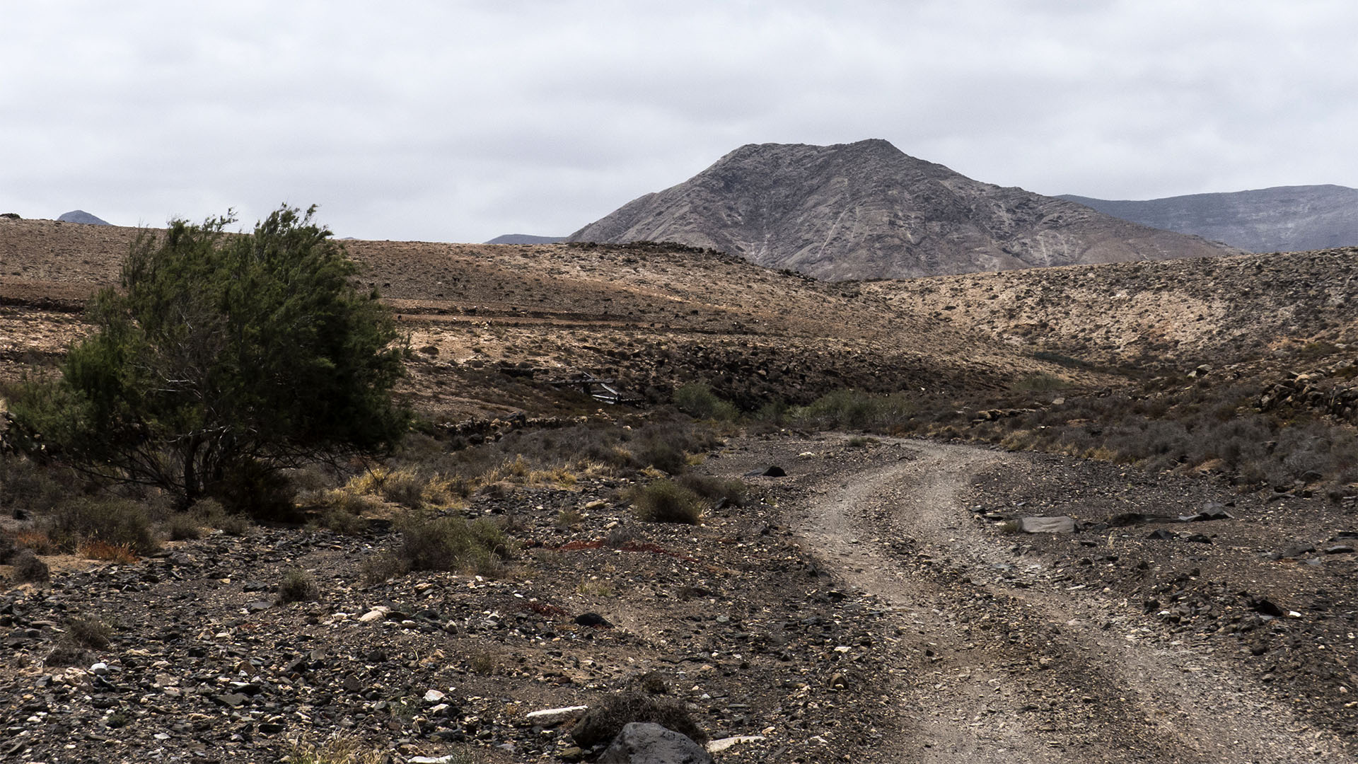 Sehenswürdigkeiten Fuerteventuras: Tindaya – Barranco Esquinzo