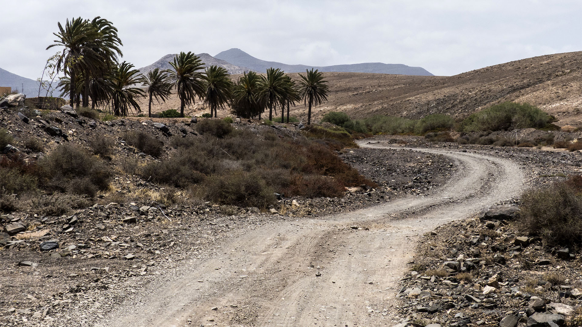 Sehenswürdigkeiten Fuerteventuras: Tindaya – Barranco Esquinzo