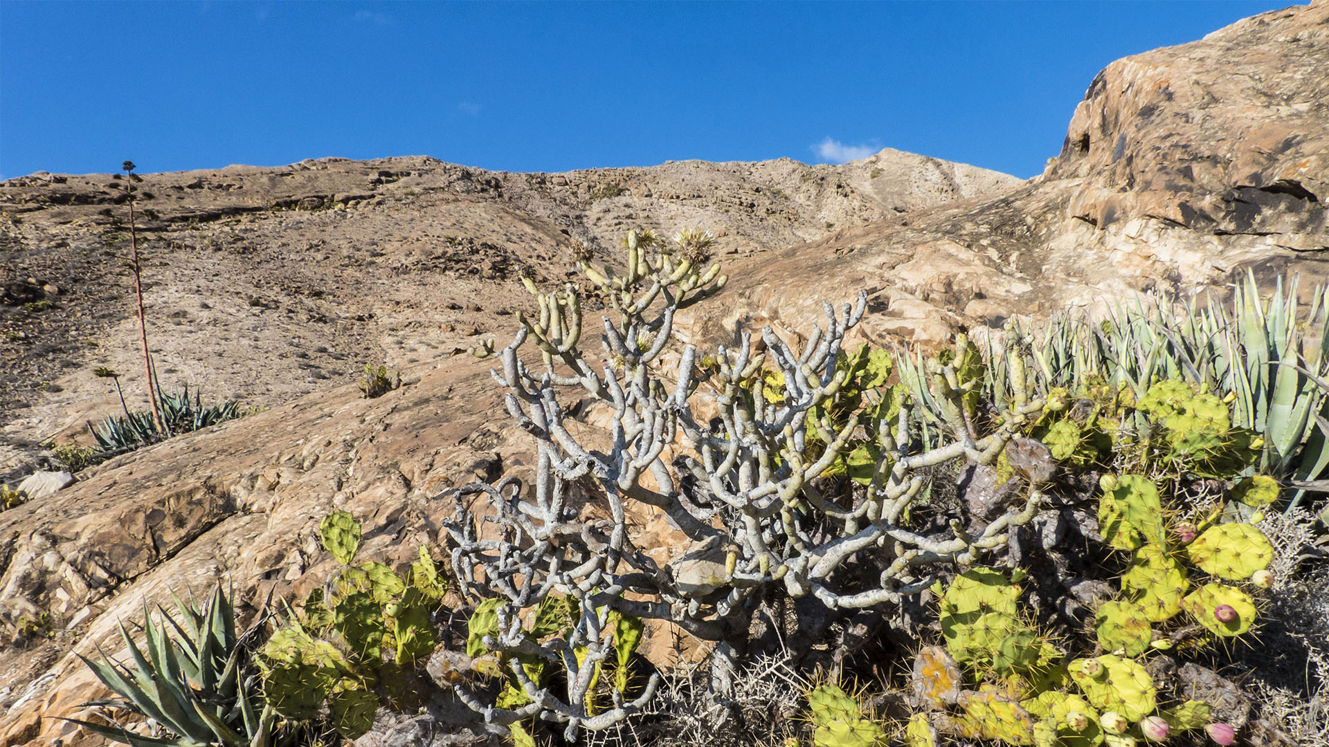 Sehenswürdigkeiten Fuerteventuras: Tindaya – Montaña Tindaya