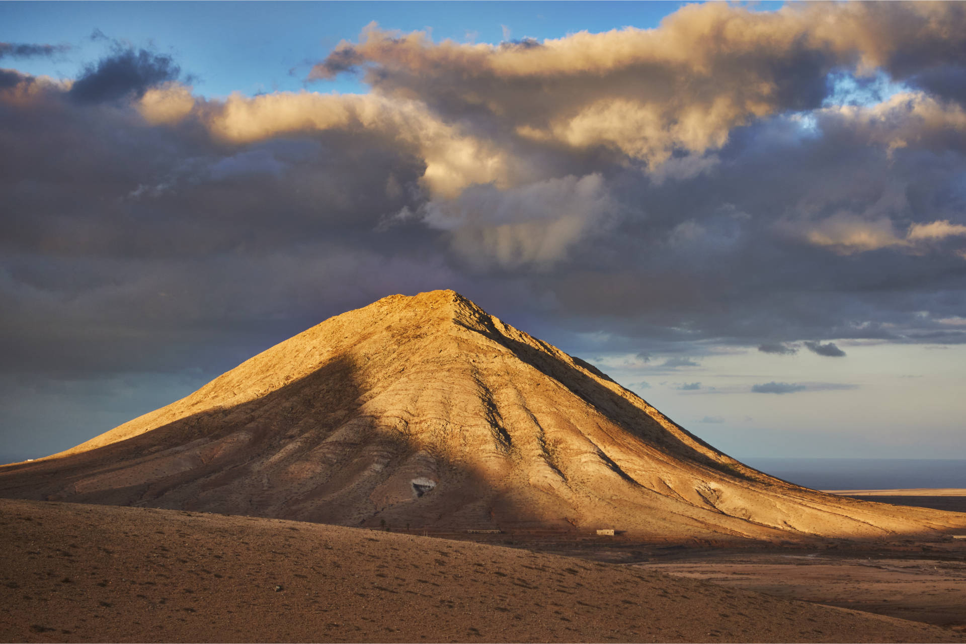 Sunny Fuerte