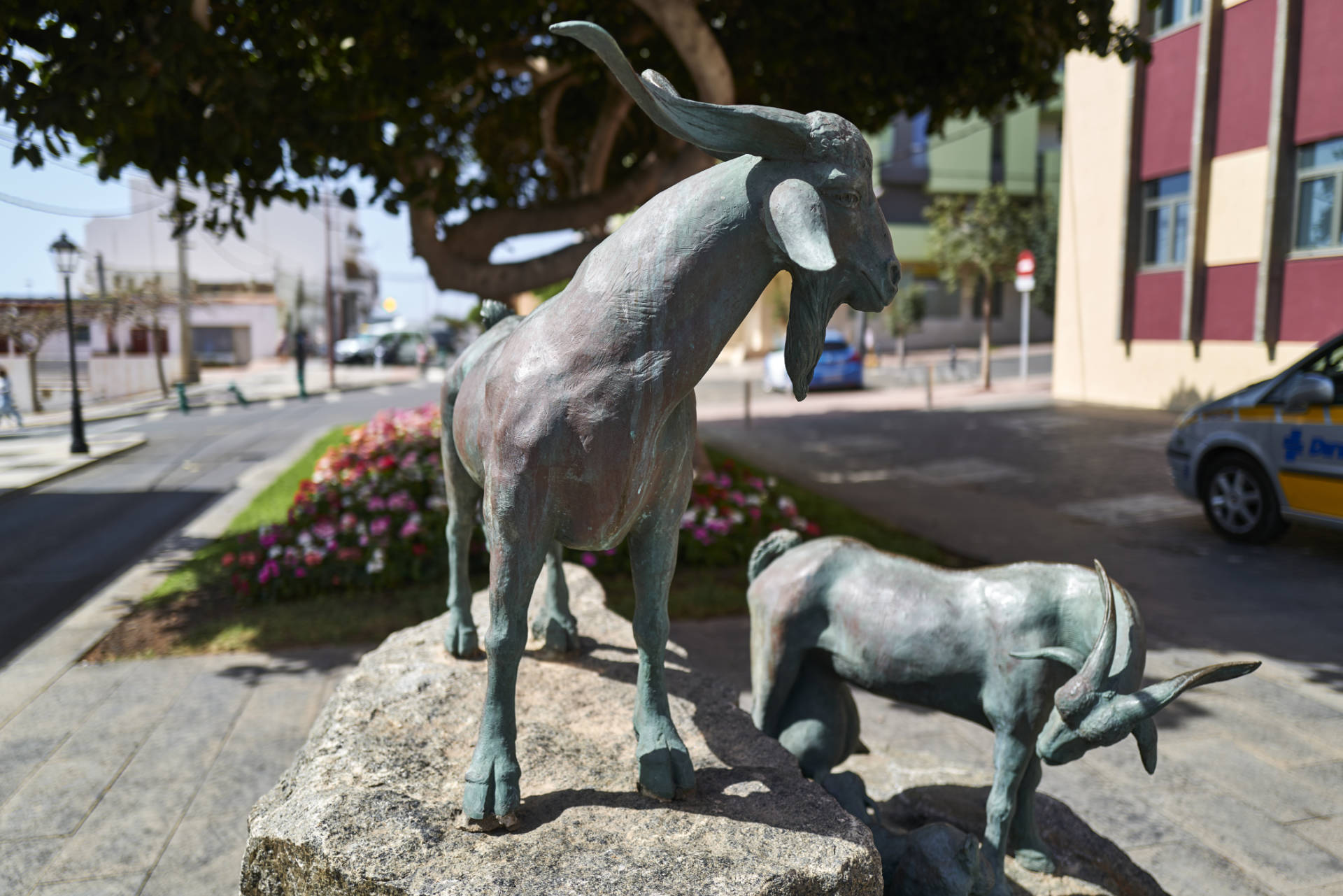 Die Cabras von Fuerteventura vor dem Ayuntamiento von Puerto del Rosario.