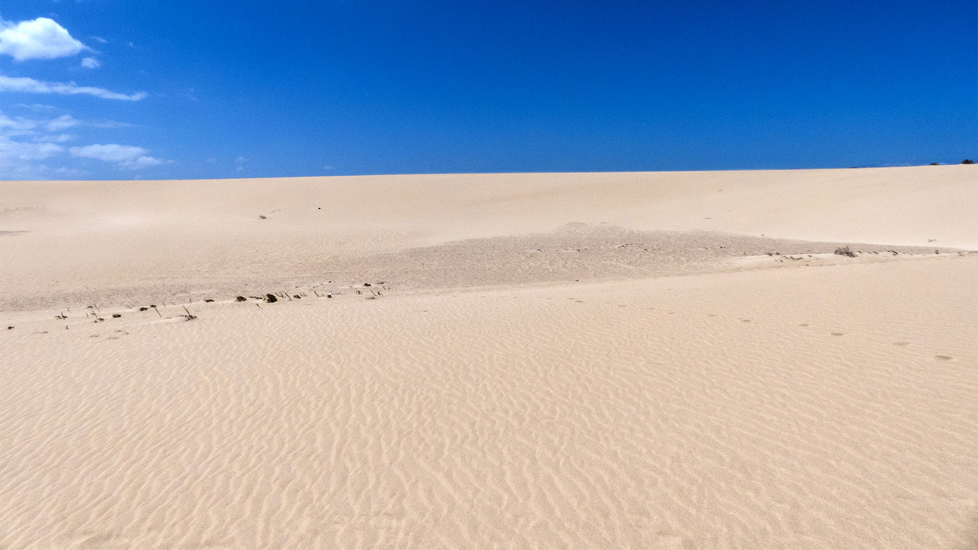 Sehenswürdigkeiten Fuerteventuras: Corralejo – El Jable