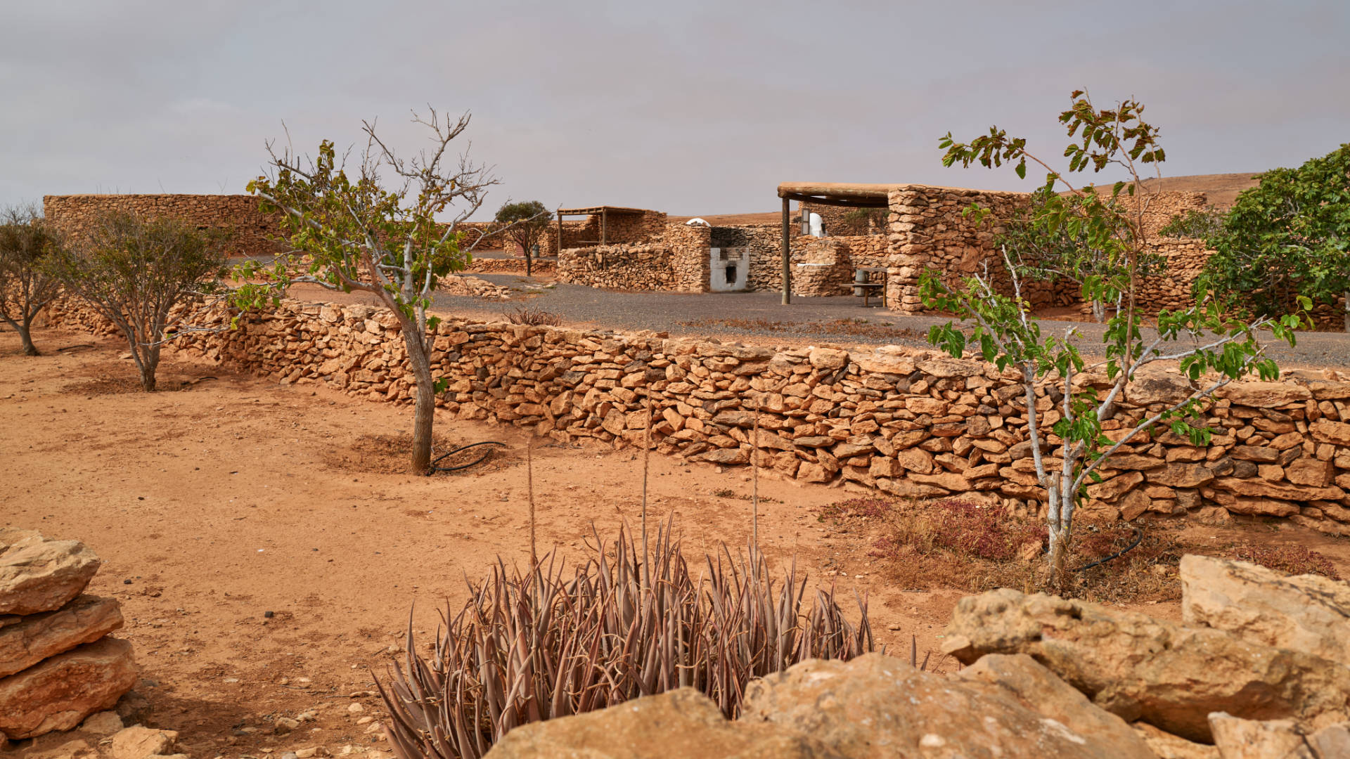 Casa de Felipito Puerto del Rosario Fuerteventura.