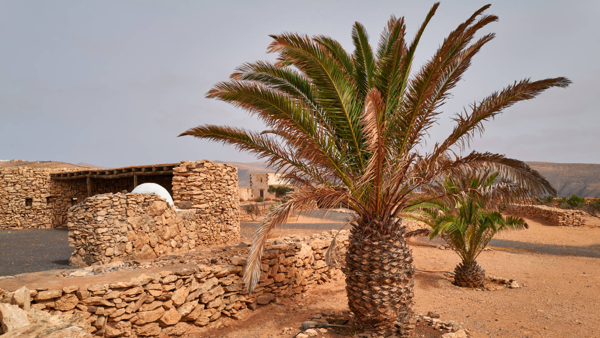 Casa de Felipito Puerto del Rosario Fuerteventura.