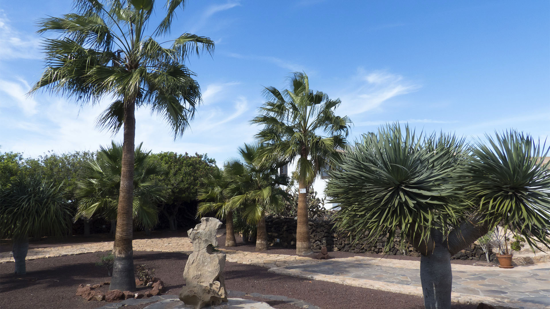 Sehenswürdigkeiten Fuerteventuras: Antigua – Museo del Queso Majorero