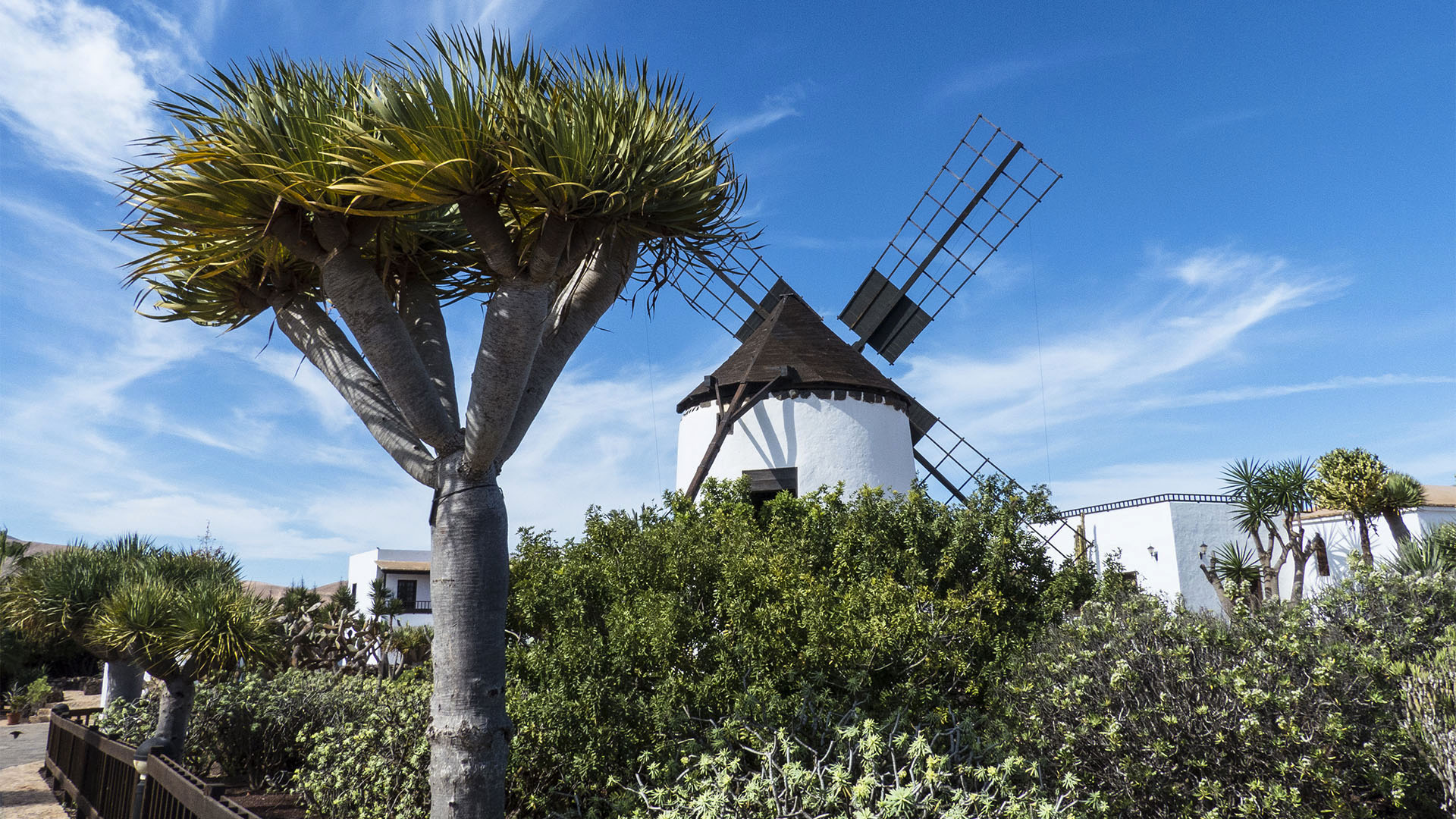 Sehenswürdigkeiten Fuerteventuras: Antigua – Museo del Queso Majorero