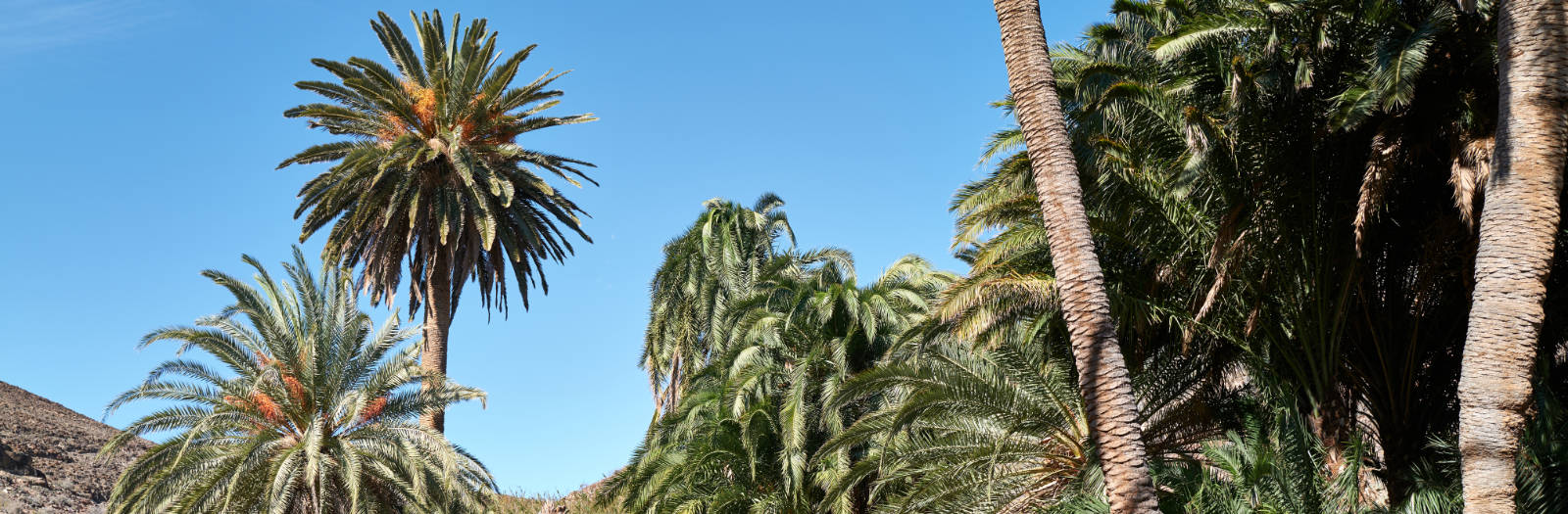 Madre del Agua Ajuy Fuerteventura.