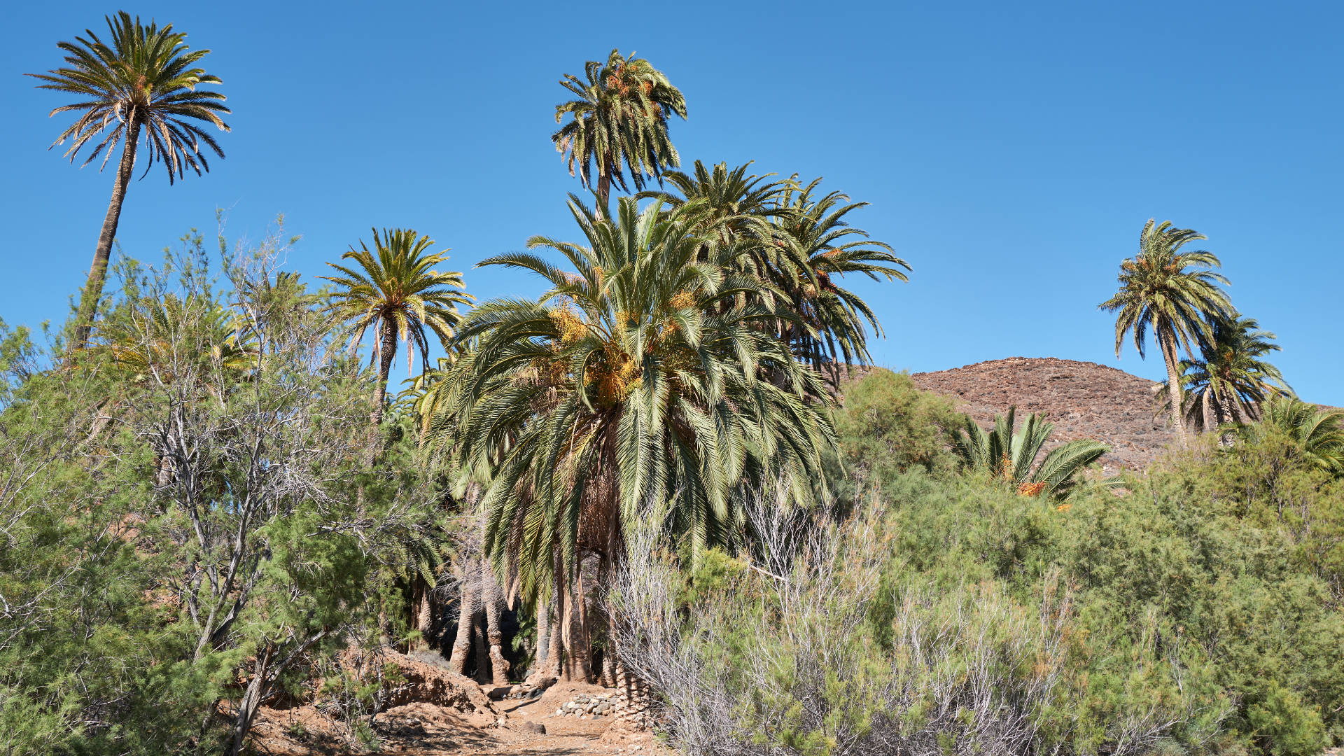 Madre del Agua Ajuy Fuerteventura.