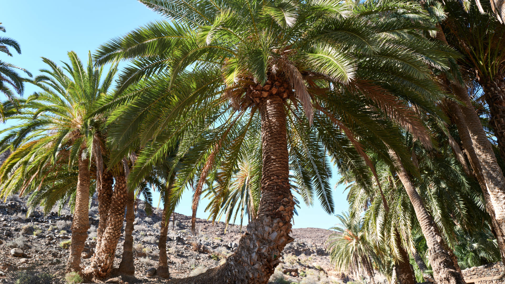 Madre del Agua Ajuy Fuerteventura.