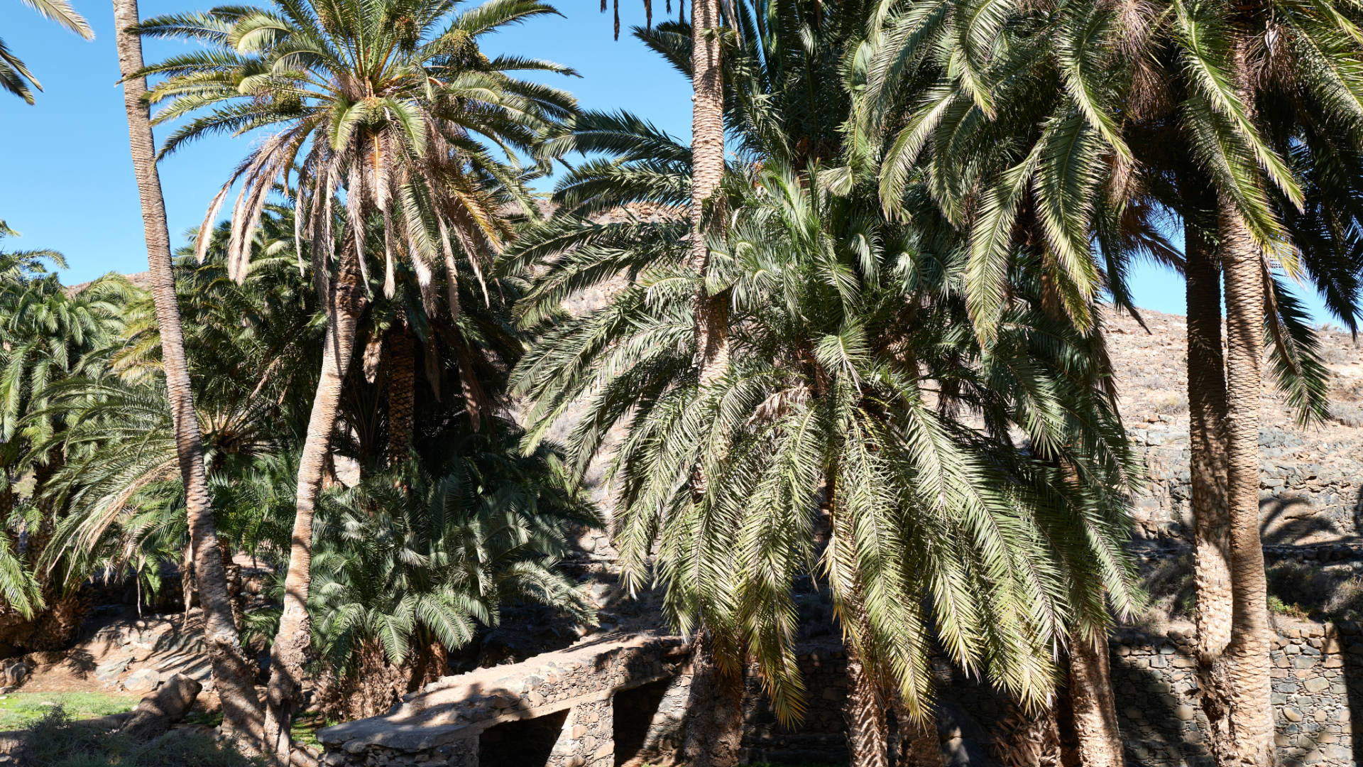 Madre del Agua Ajuy Fuerteventura.