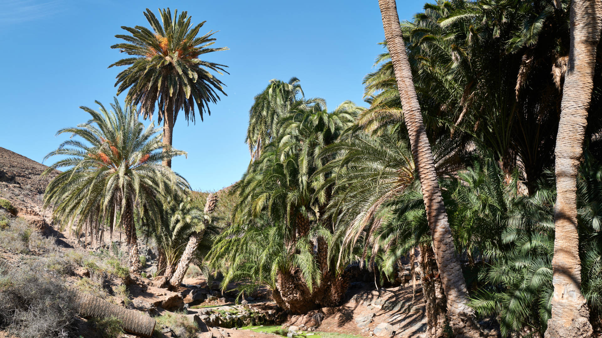 Madre del Agua Ajuy Fuerteventura.