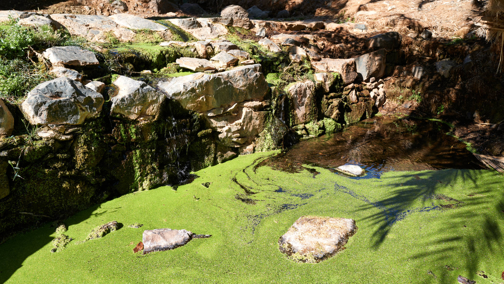 Madre del Agua Ajuy Fuerteventura.