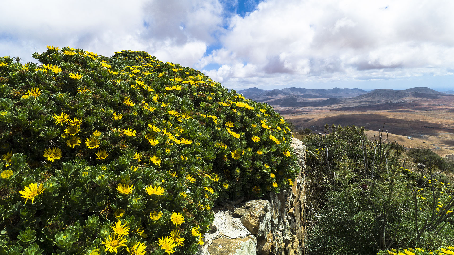 Sehenswürdigkeiten Fuerteventuras: Betancuria – Mirador de Morro de Veloso o del Convento (676 m).