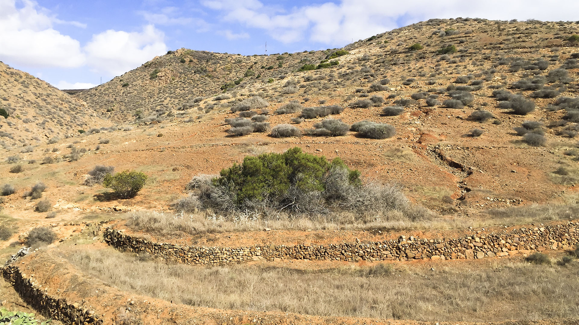 Sehenswürdigkeiten Fuerteventuras: Betancuria – Parque rural Parra Medina Betancuria