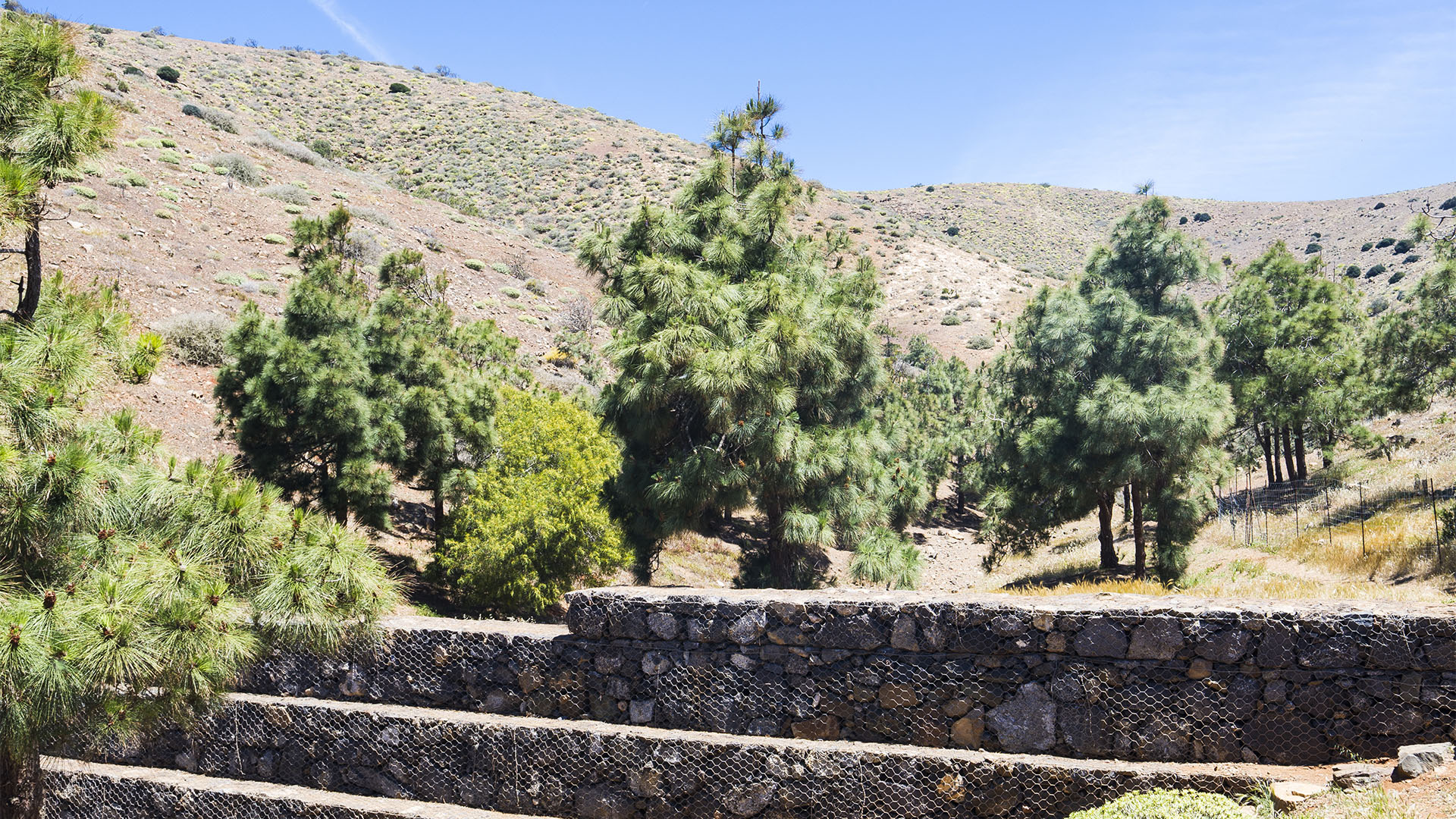 Sehenswürdigkeiten Fuerteventuras: Betancuria – Castillo de Lara area recreativa Betancuria