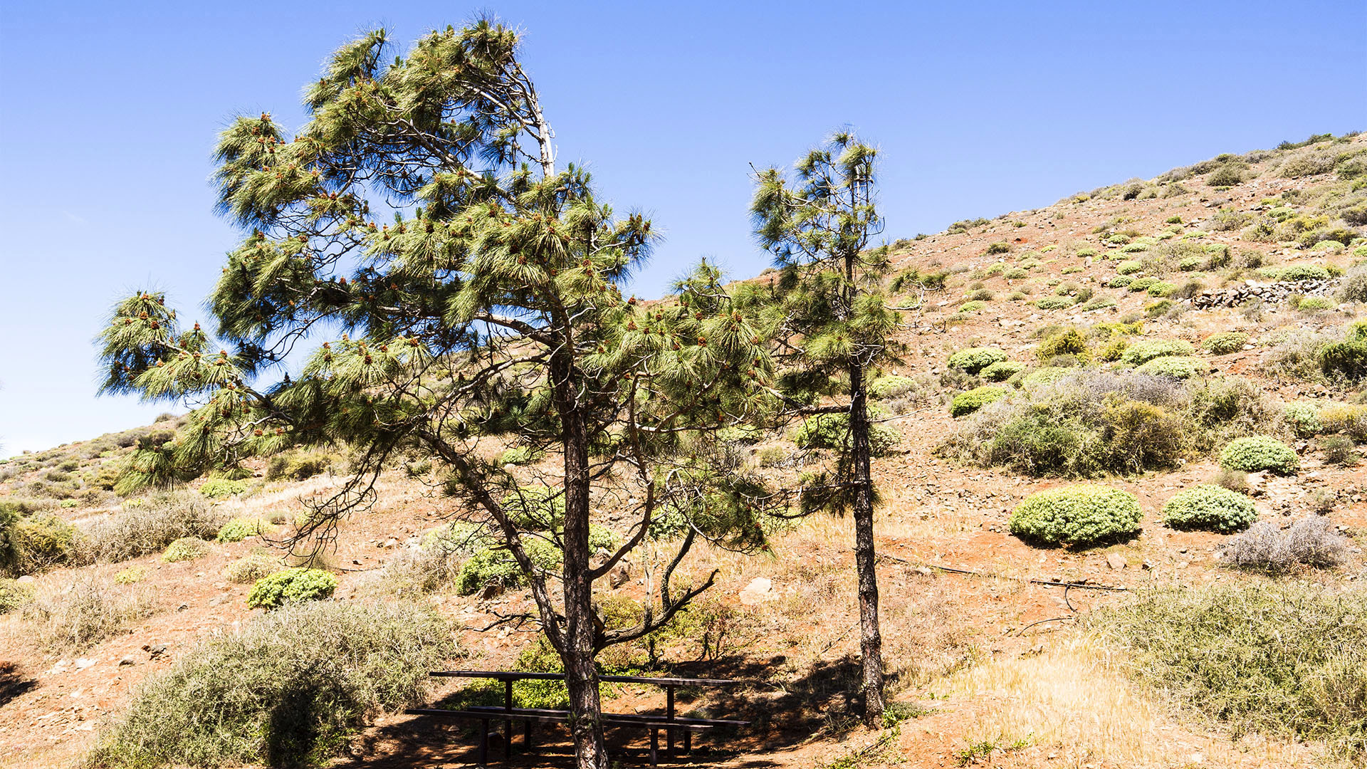 Sehenswürdigkeiten Fuerteventuras: Betancuria – Castillo de Lara area recreativa Betancuria