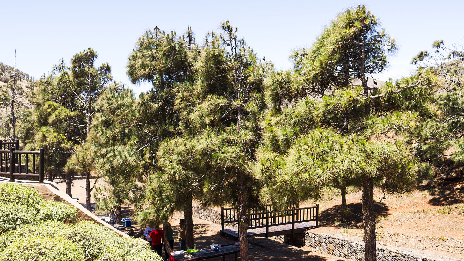 Sehenswürdigkeiten Fuerteventuras: Betancuria – Castillo de Lara area recreativa Betancuria