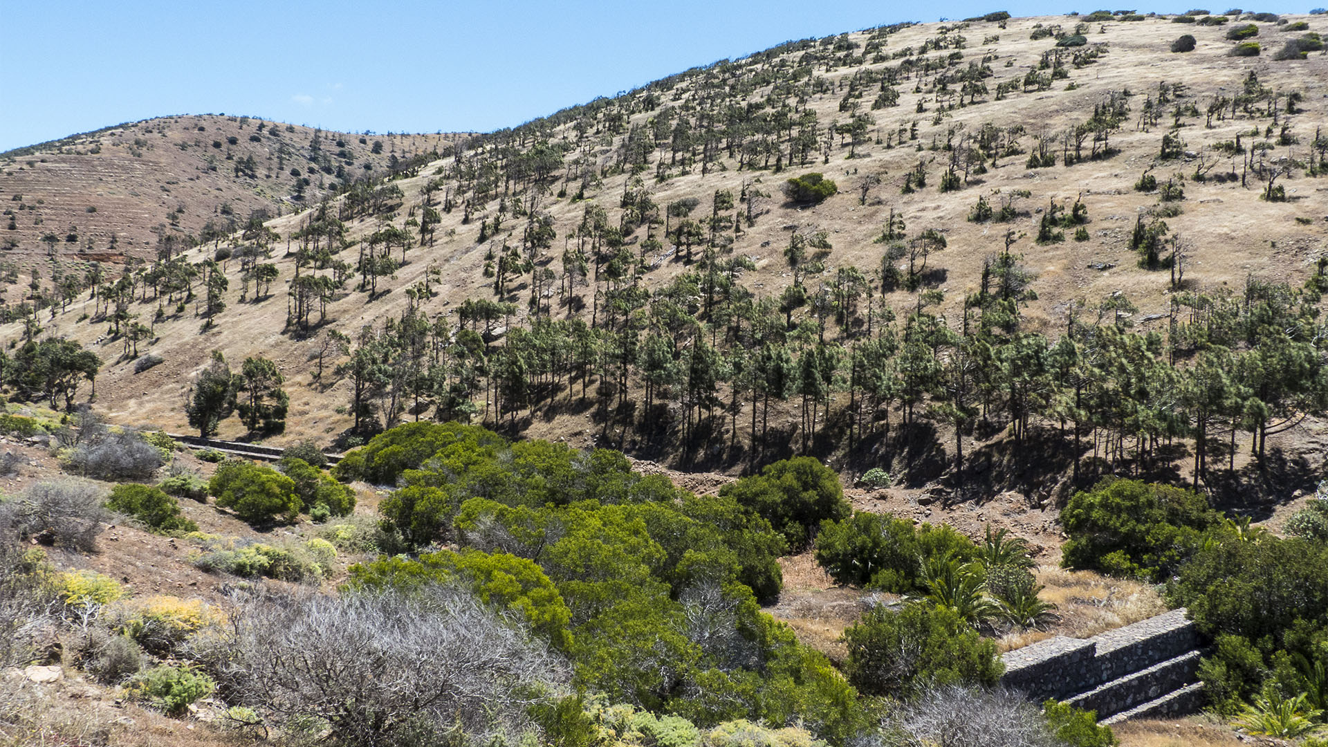 Sehenswürdigkeiten Fuerteventuras: Betancuria – Castillo de Lara area recreativa Betancuria