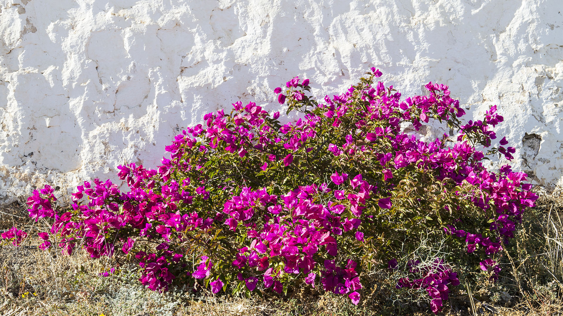 Sehenswürdigkeiten Fuerteventura – Benediktiner Kloster San Buenaventura.