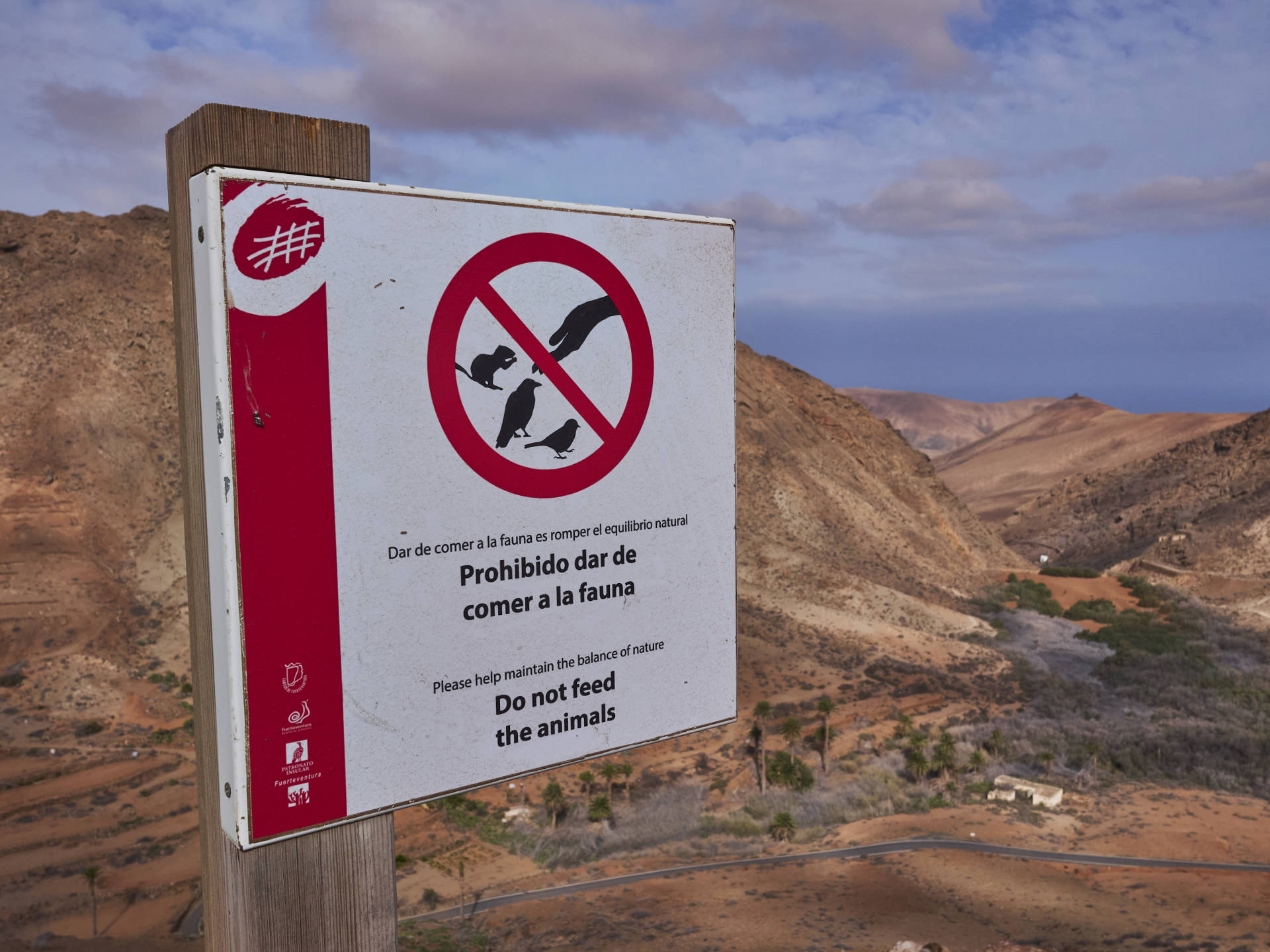 Mirador de las Peñas Fuerteventura im frühen Morgenlicht.