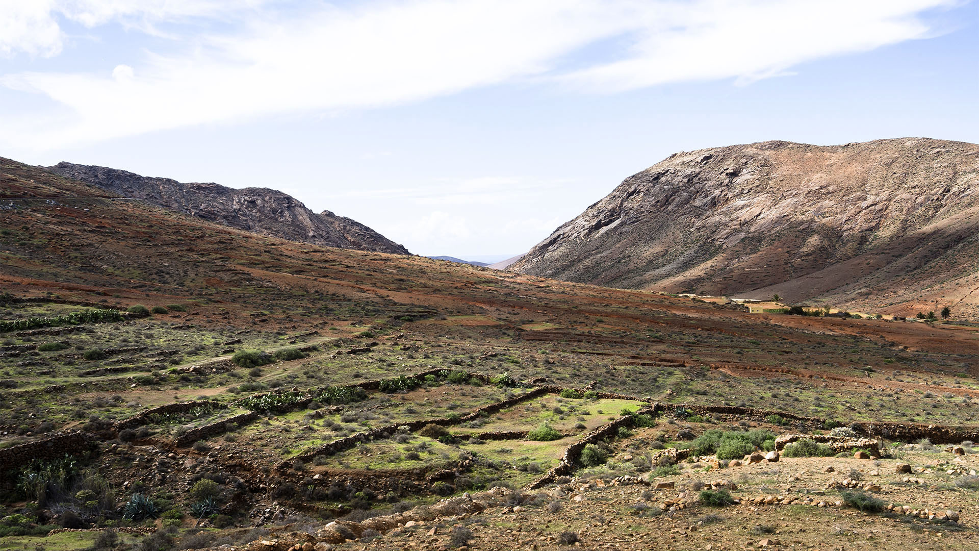 Sehenswürdigkeiten Fuerteventuras: Vega de Río Palmas – Mirador Risco de las Peñas